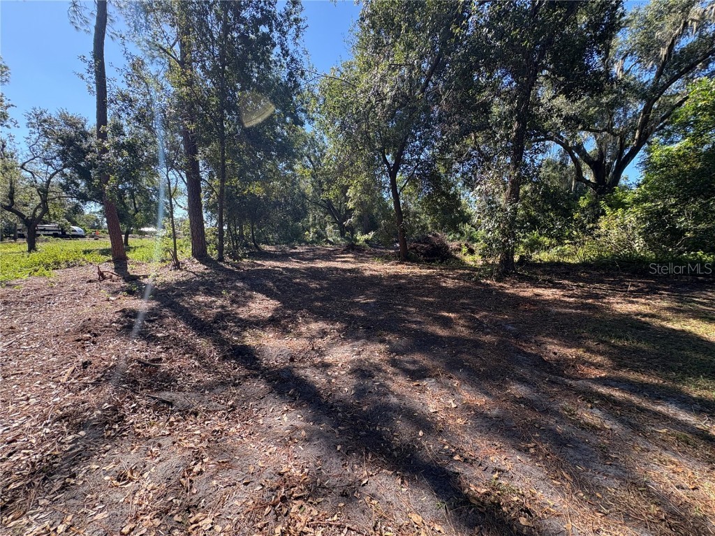 8939 Beverly Hills Lakeland FL 33809 B4902092 image6