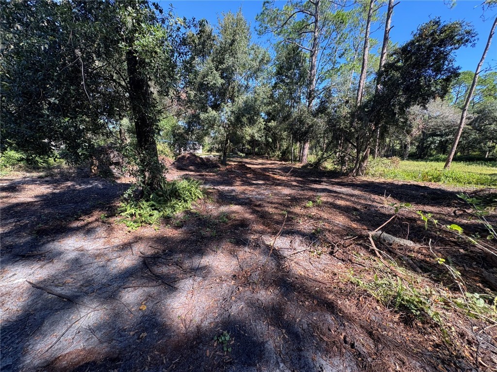 8939 Beverly Hills Lakeland FL 33809 B4902092 image7