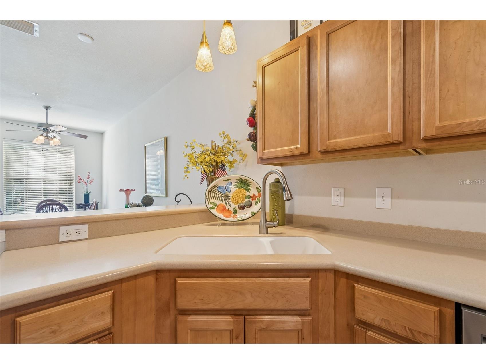 894 Lantern Way Clearwater FL 33765 TB8489808 image19