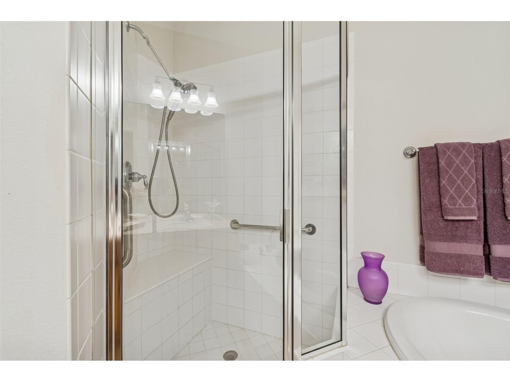 894 Lantern Way Clearwater FL 33765 TB8489808 image36