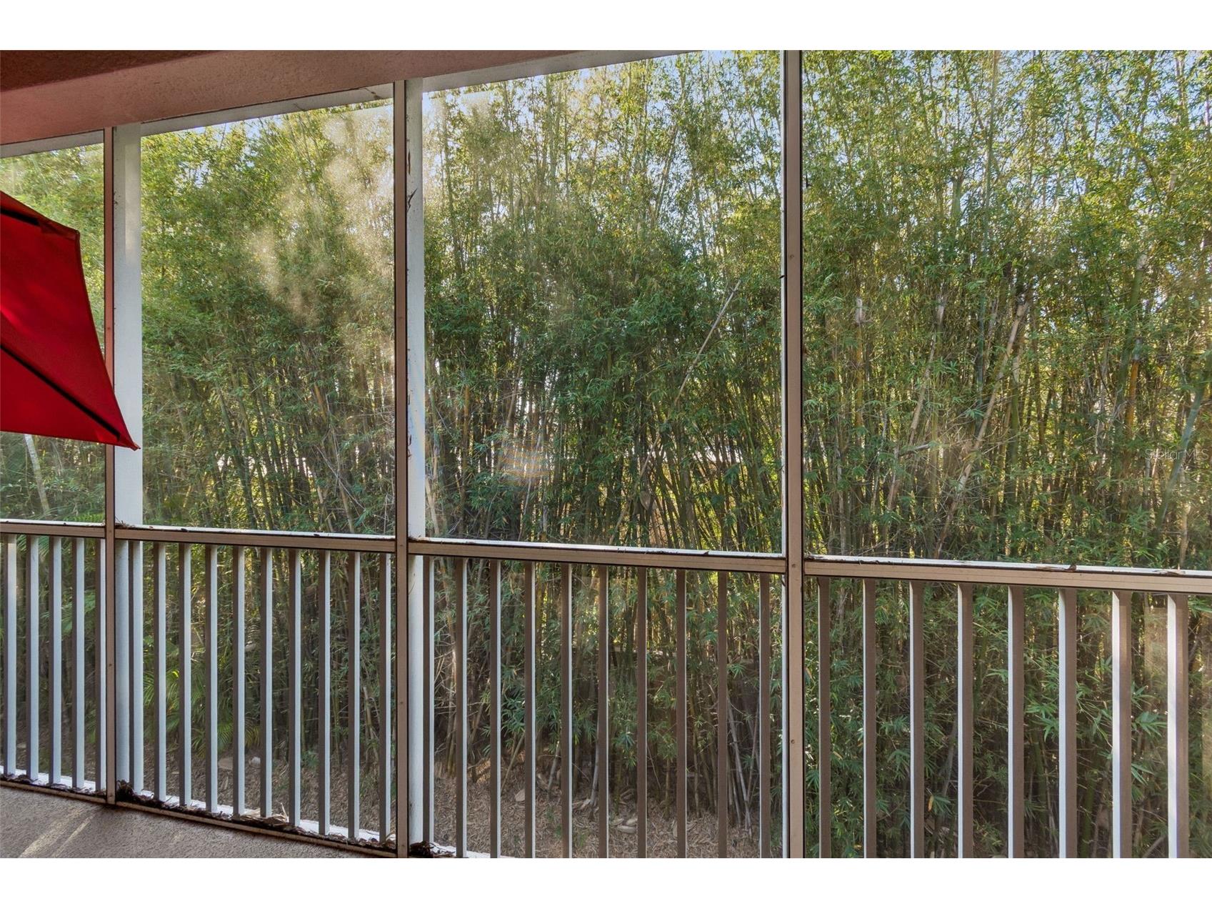 894 Lantern Way Clearwater FL 33765 TB8489808 image57