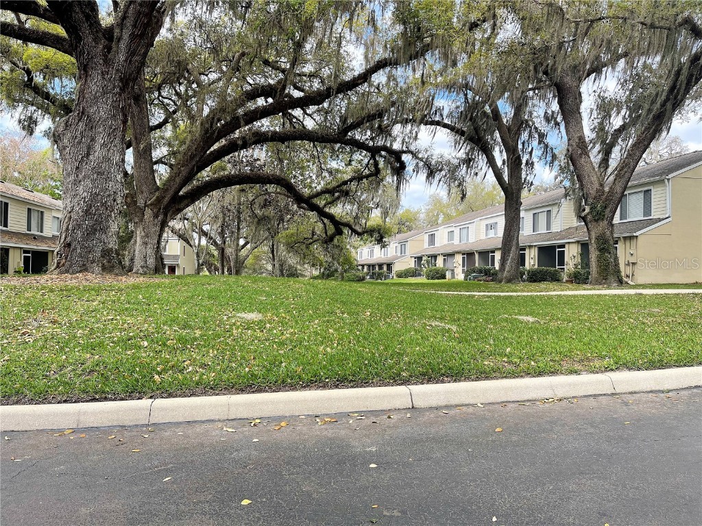 894 Vineland Place Lake Mary FL 32746 O6365202 image11