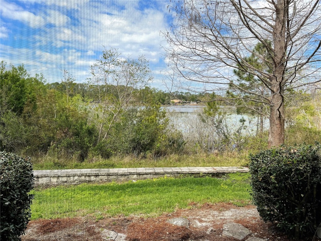 894 Vineland Place Lake Mary FL 32746 O6365202 image12