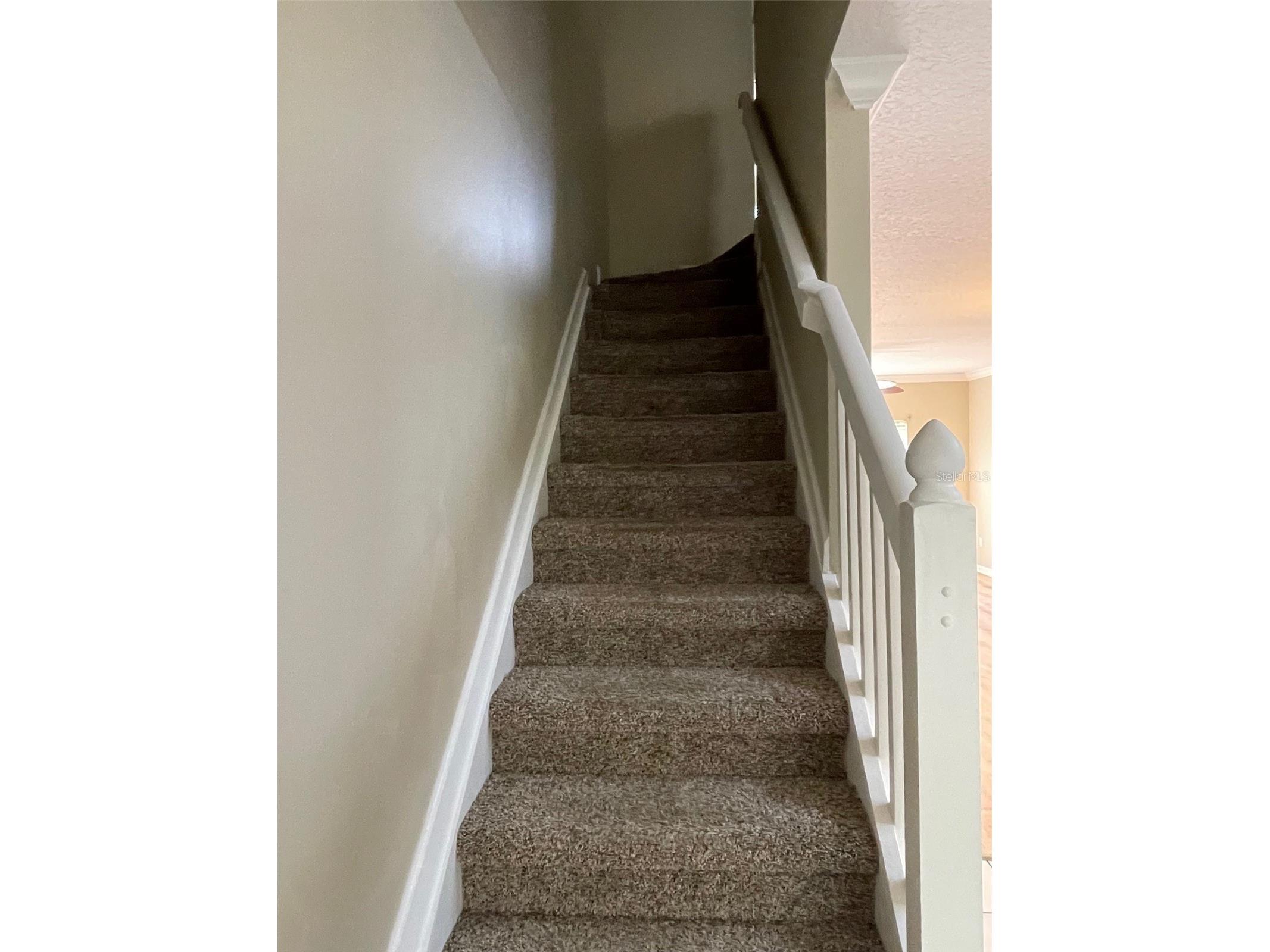 894 Vineland Place Lake Mary FL 32746 O6365202 image15