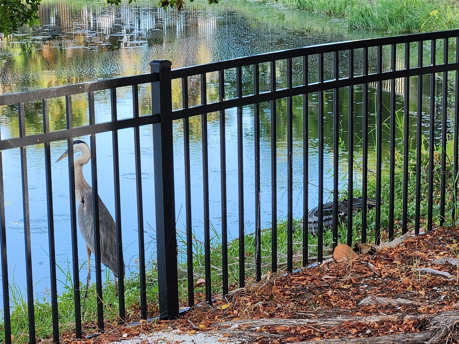 8940 Pickwick Road North Port FL 34287 N6140651 image51