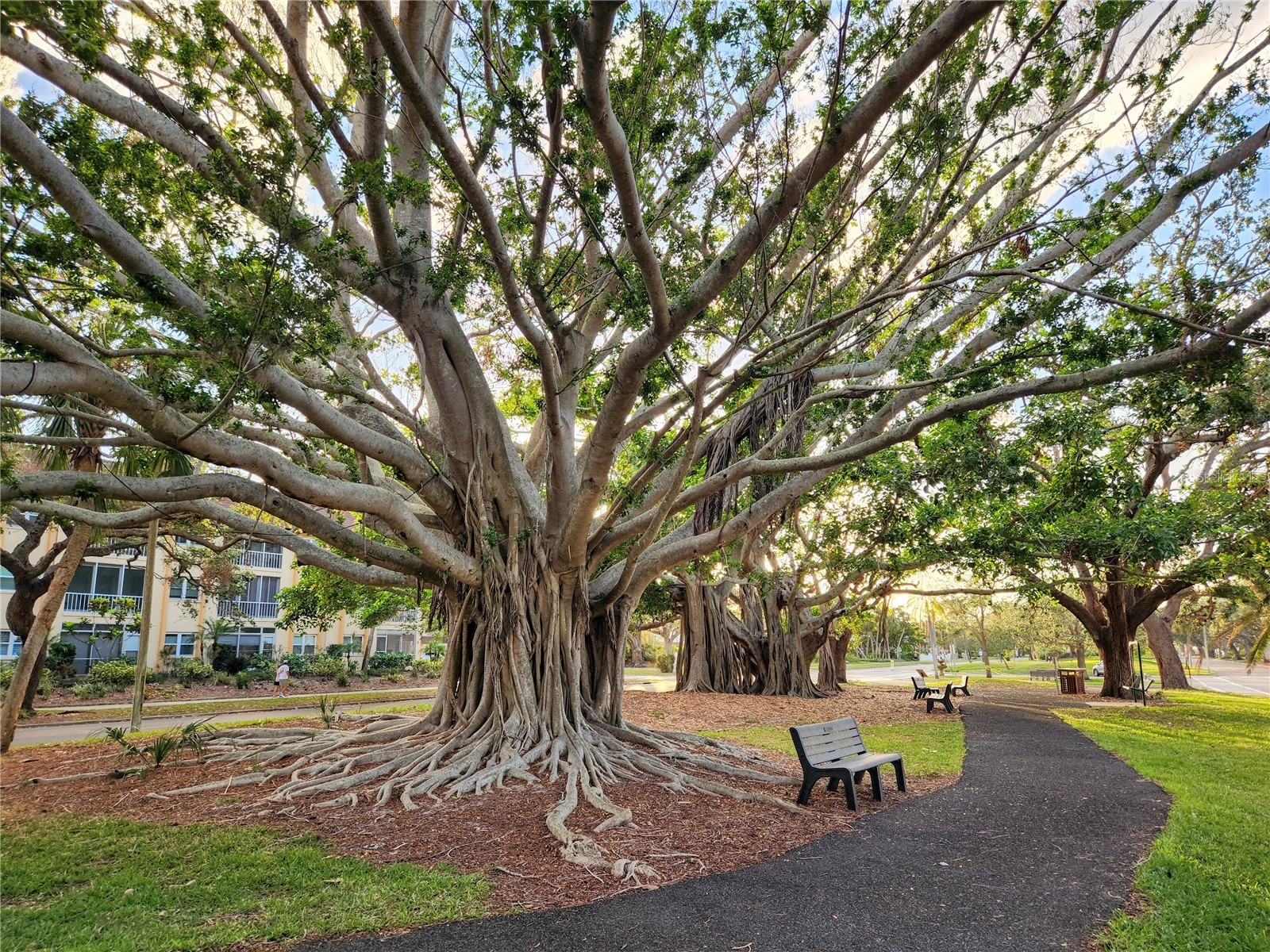 8940 Pickwick Road North Port FL 34287 N6140651 image54