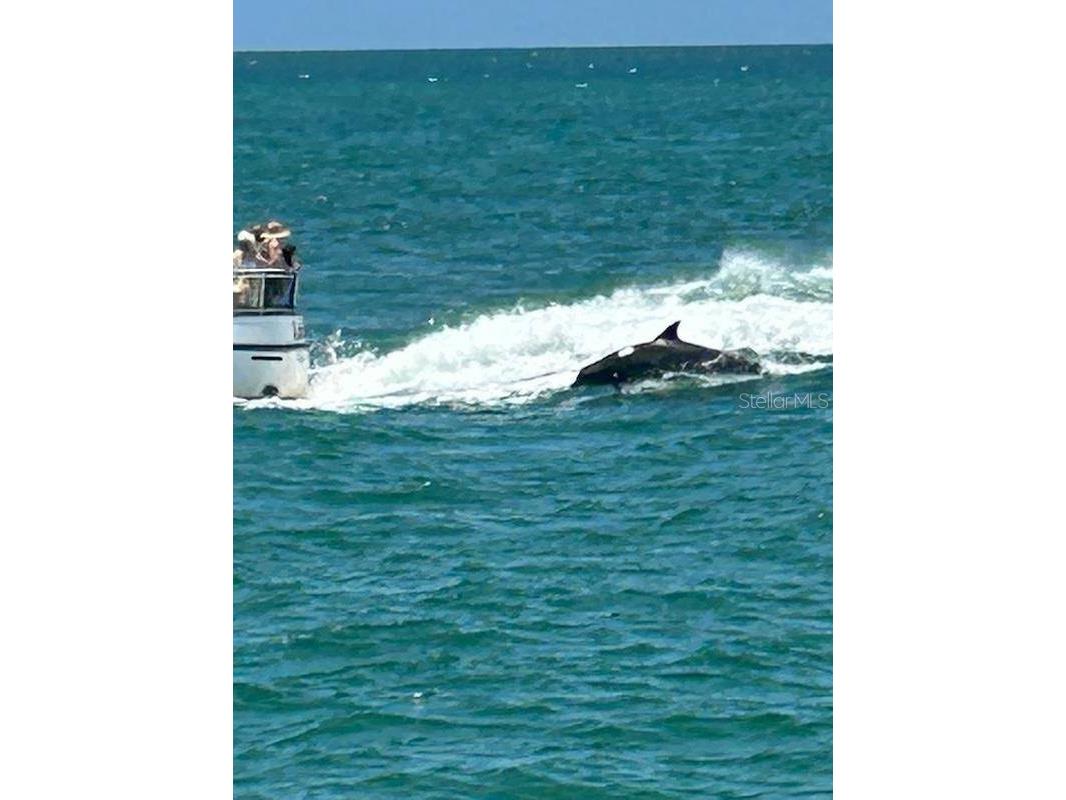 8940 Pickwick Road North Port FL 34287 N6140651 image58