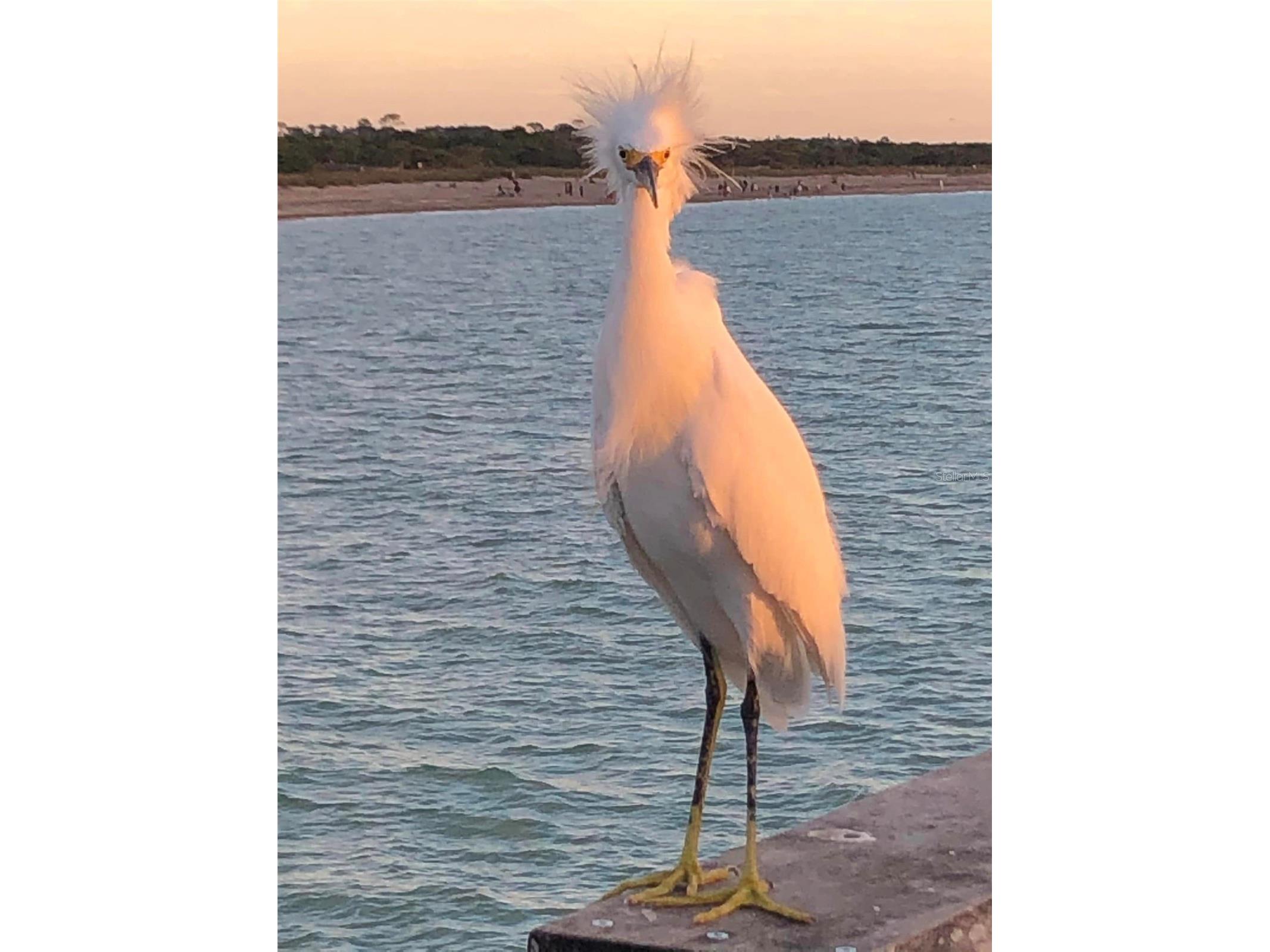 8940 Pickwick Road North Port FL 34287 N6140651 image59