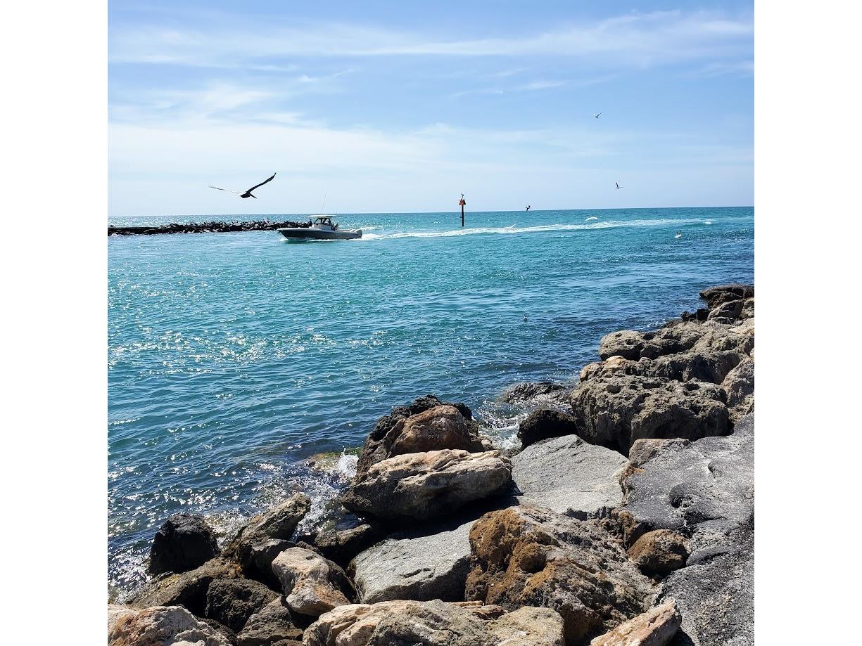 8940 Pickwick Road North Port FL 34287 N6140651 image61