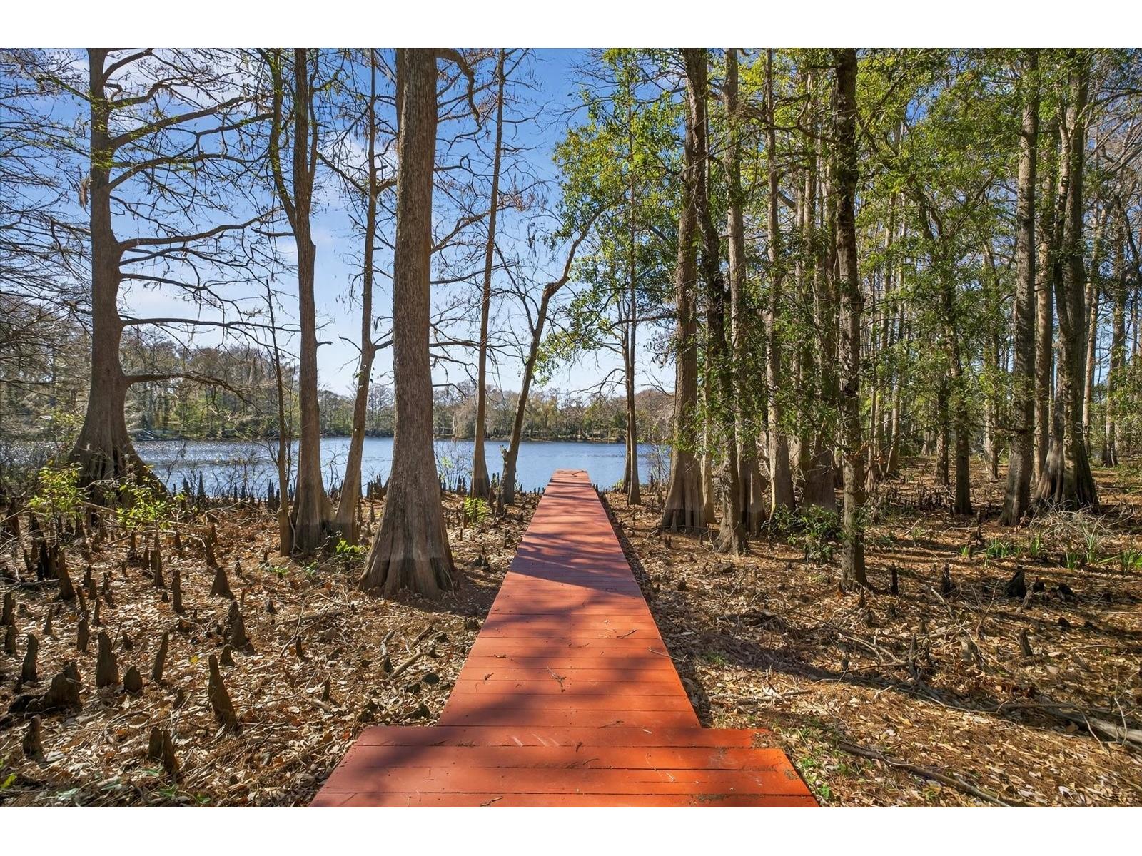 8940 Wicker Lane New Port Richey FL 34654 - LAKE WORRELL TB8480164 image1