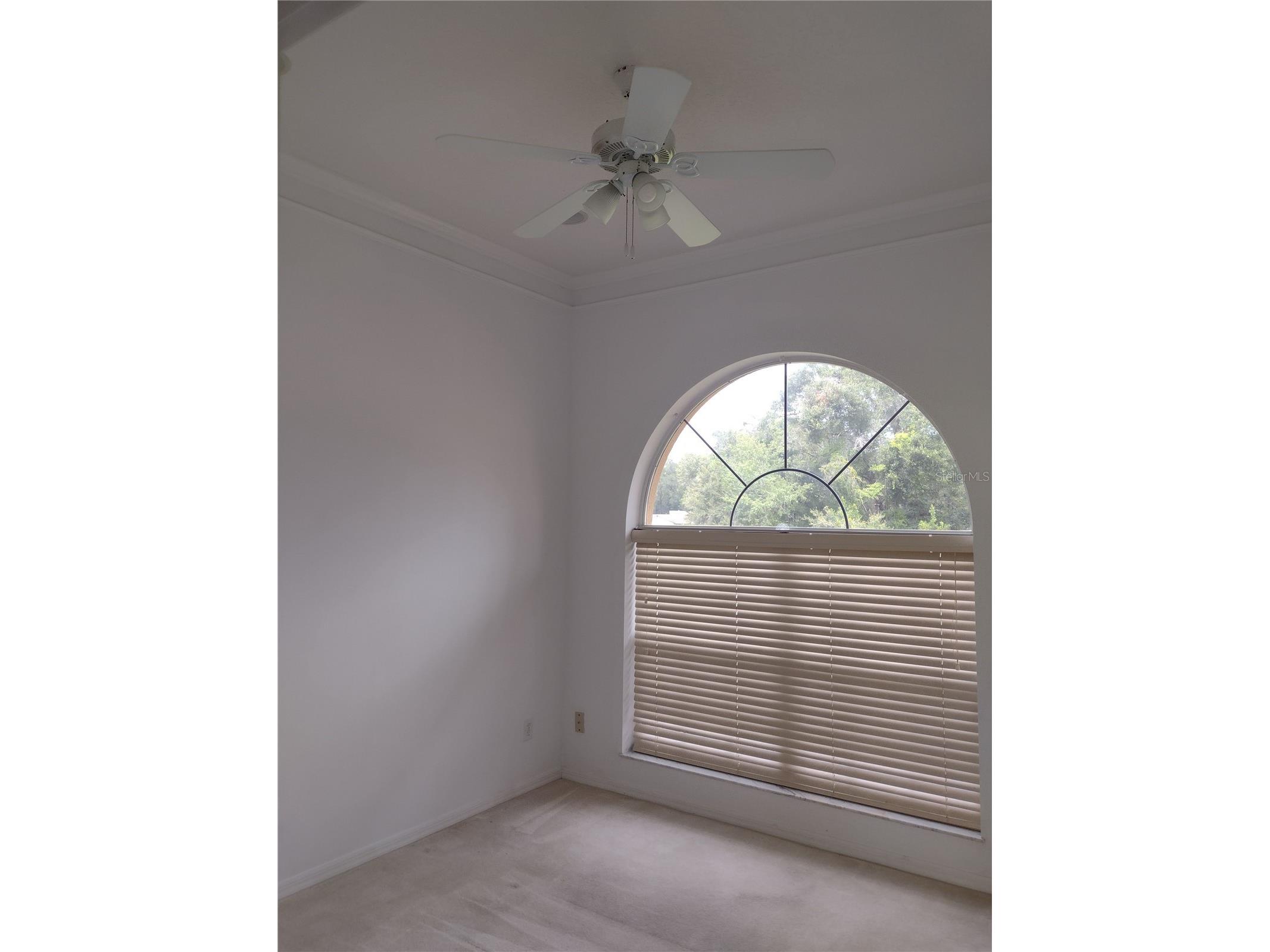8941 SW 191st Circle Dunnellon FL 34432 OM725151 image7