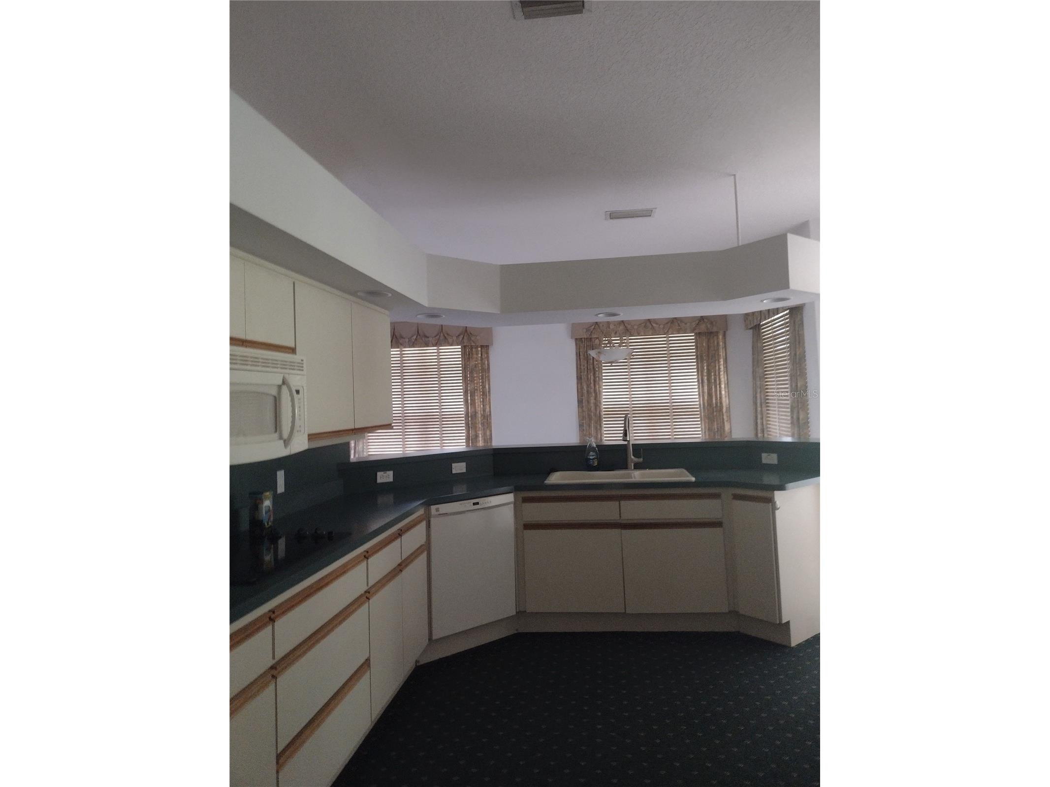 8941 SW 191st Circle Dunnellon FL 34432 OM725151 image9