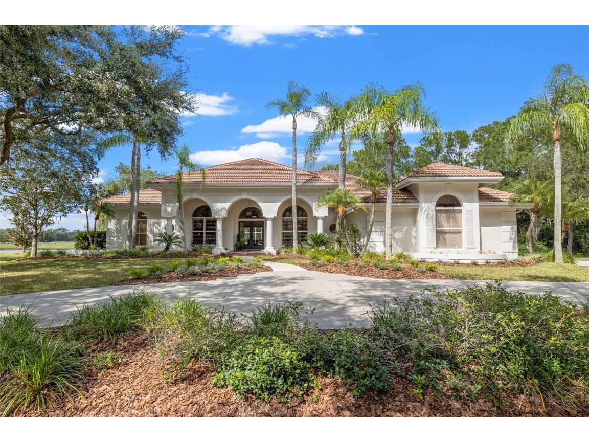 8942 Magnolia Chase Circle Tampa FL 33647 T3477777 image1