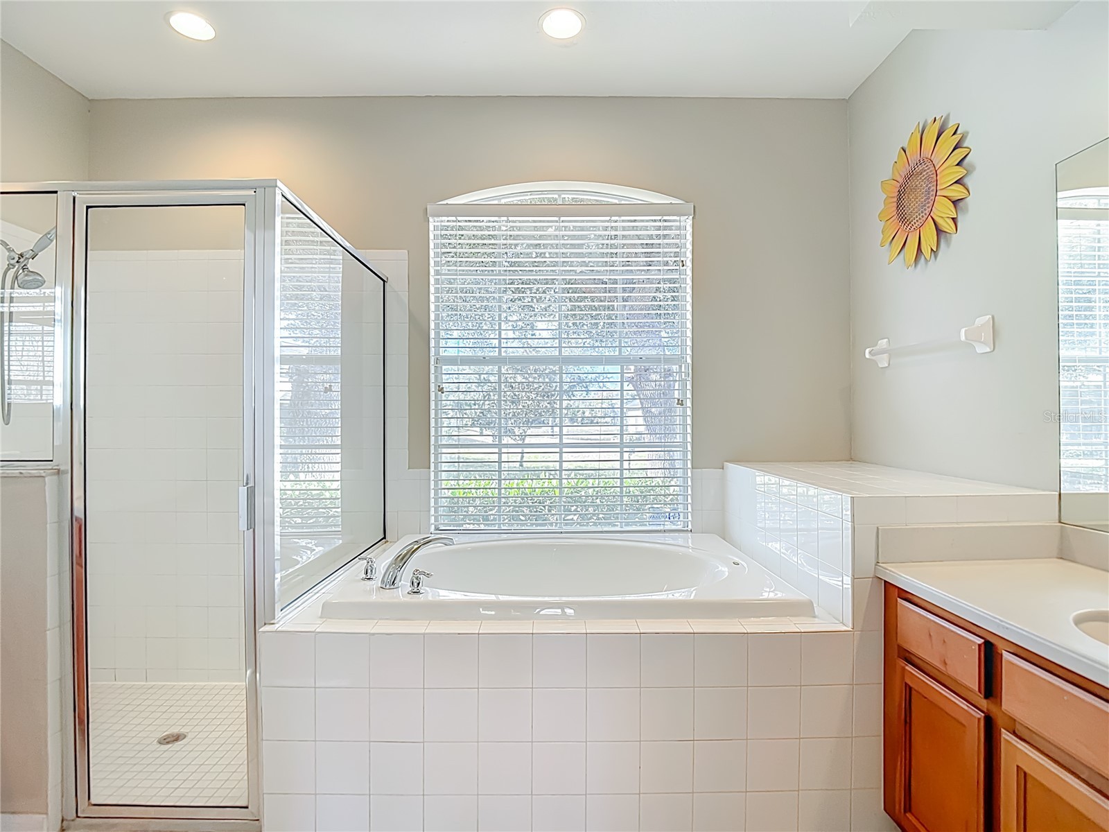 8942 Sandusky Lane New Port Richey FL 34654 TB8462015 image44