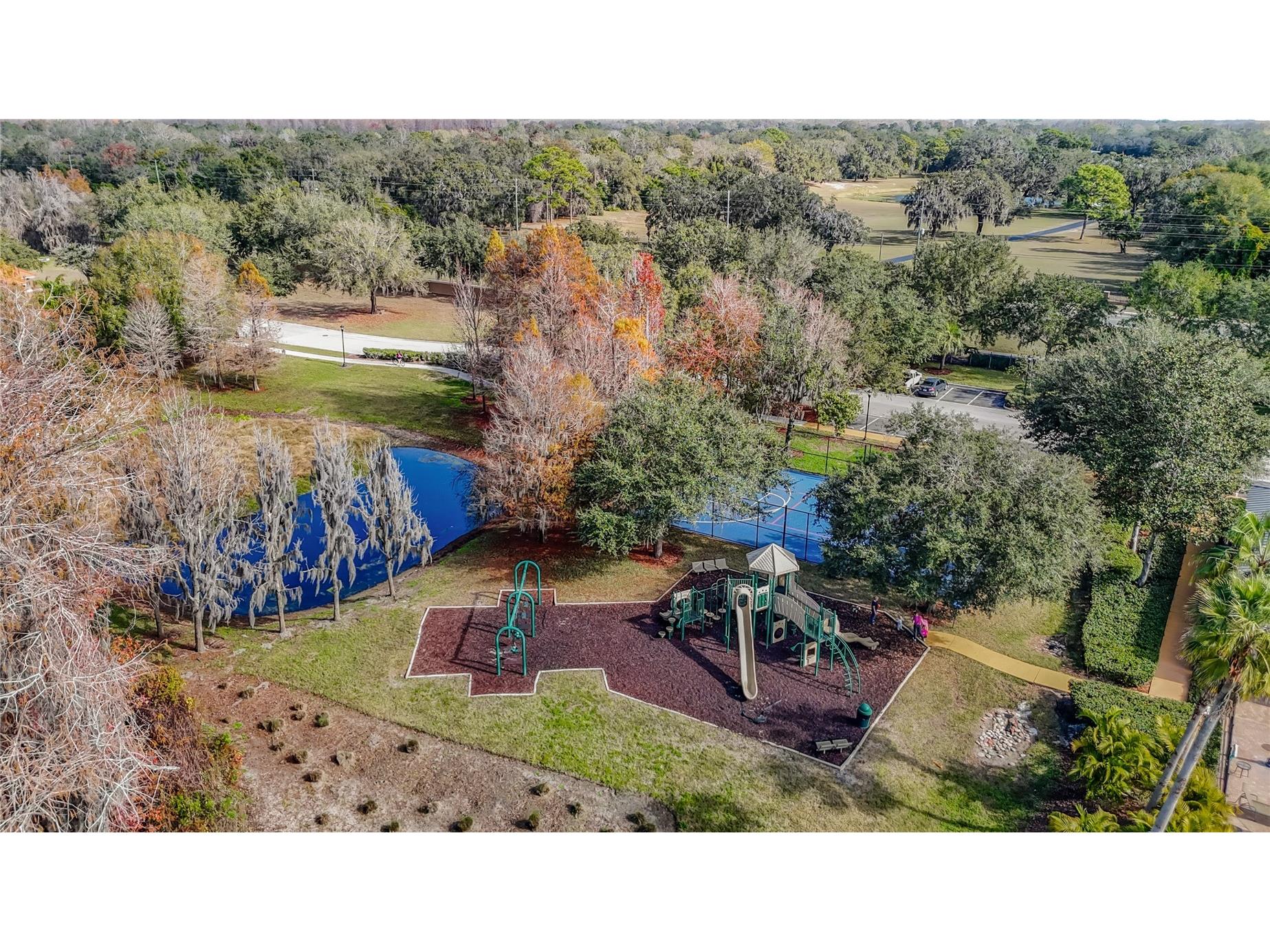 8942 Sandusky Lane New Port Richey FL 34654 TB8462015 image84