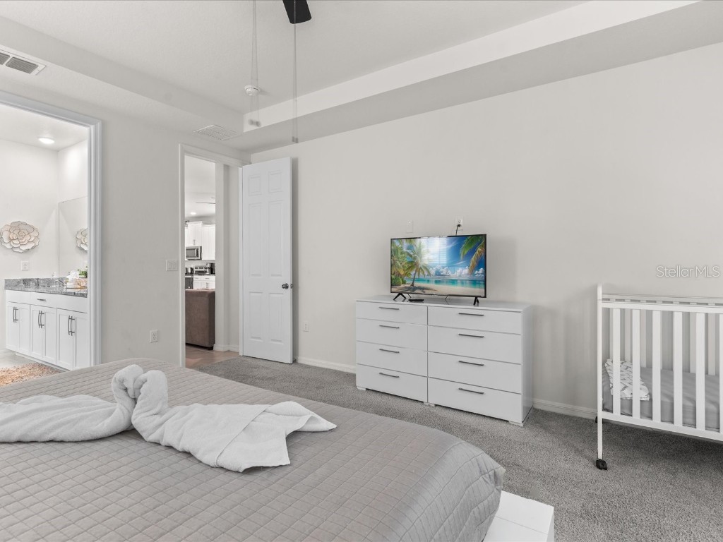 8943 Coconut Breeze Drive Kissimmee FL 34747 O6307340 image20