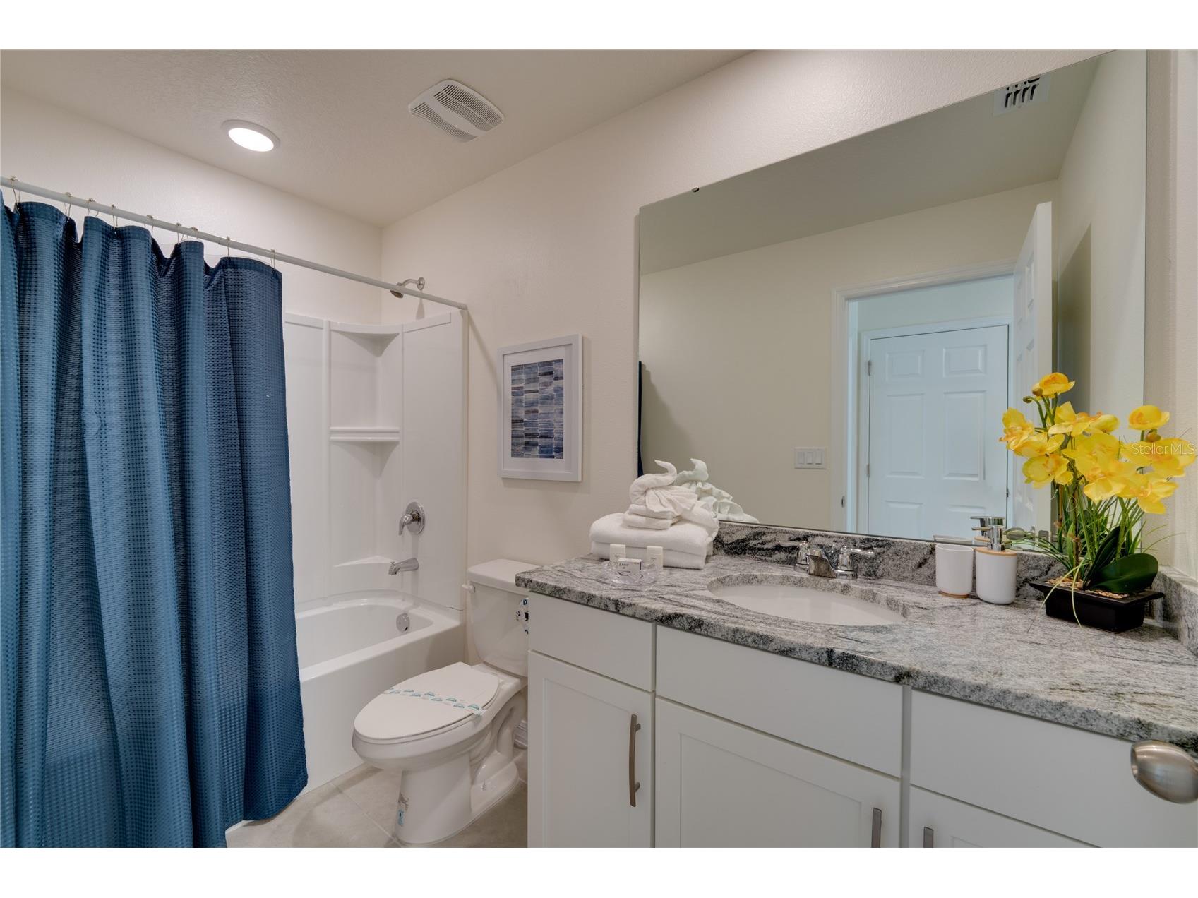 8943 Coconut Breeze Drive Kissimmee FL 34747 O6374170 image11