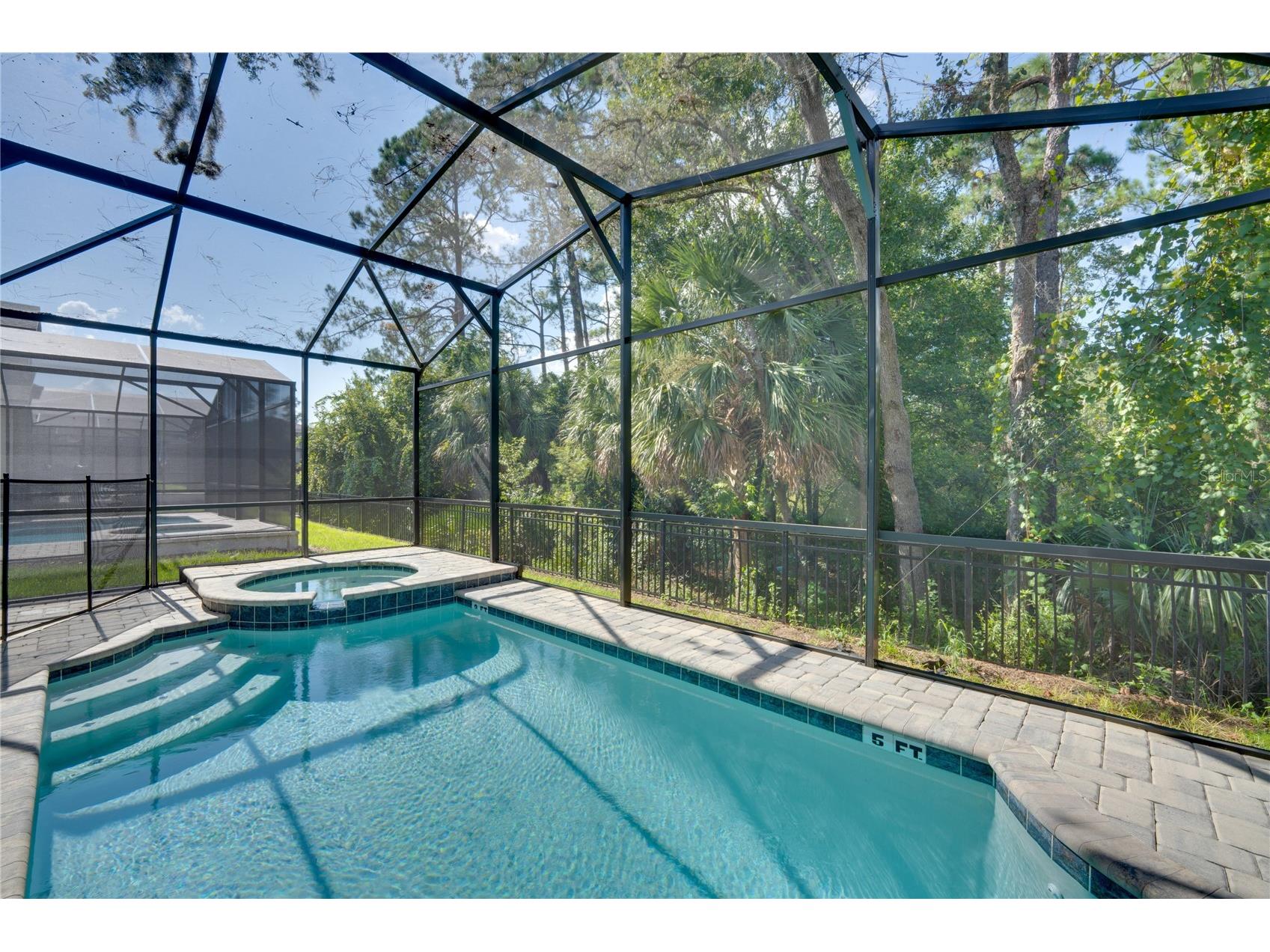 8943 Coconut Breeze Drive Kissimmee FL 34747 O6374170 image2