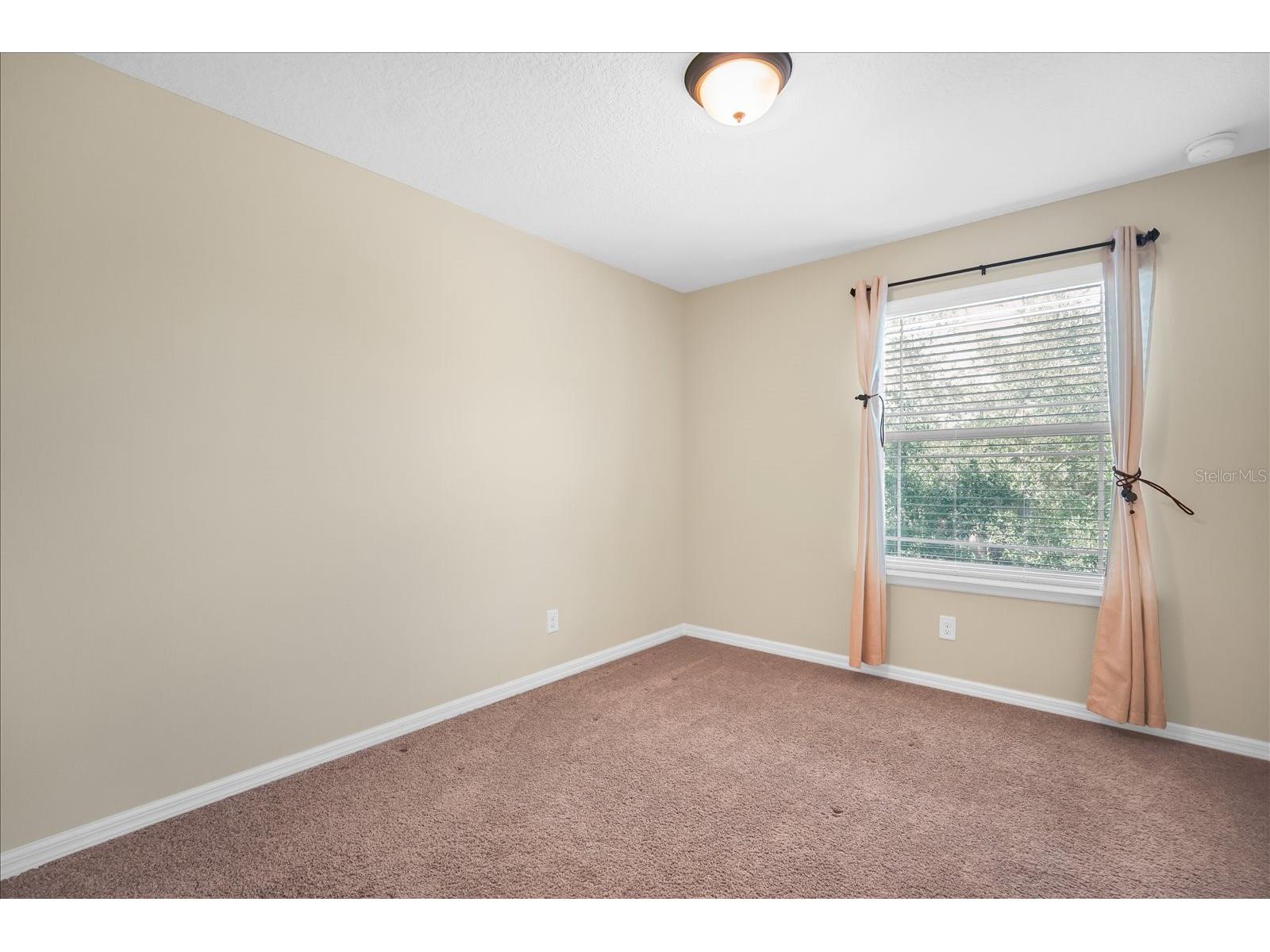 8943 Hildreth Avenue Orlando FL 32832 S5147078 image17