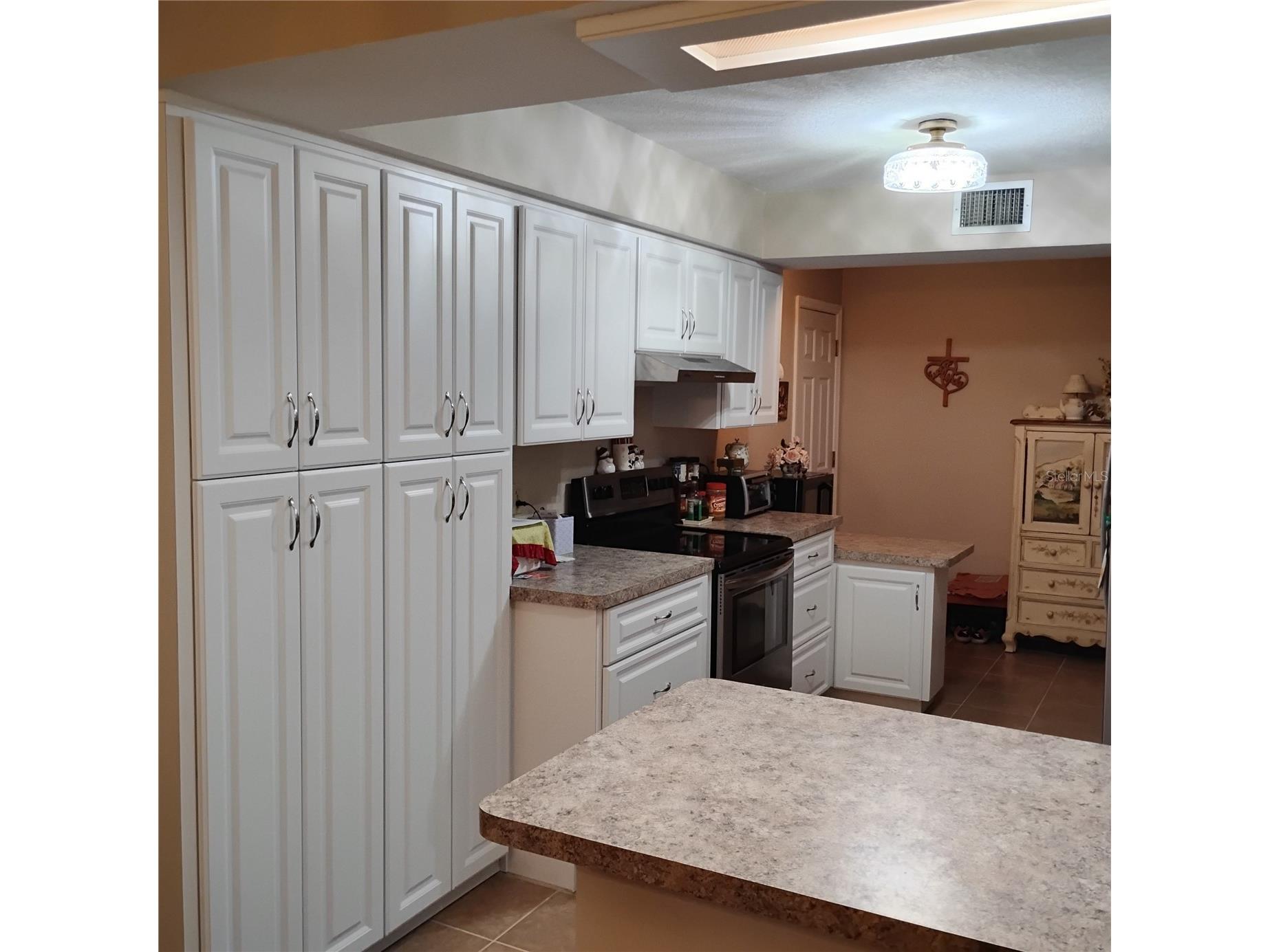8943 Silver Lake Drive Leesburg FL 34788 - Silver Lake TB8481421 image10