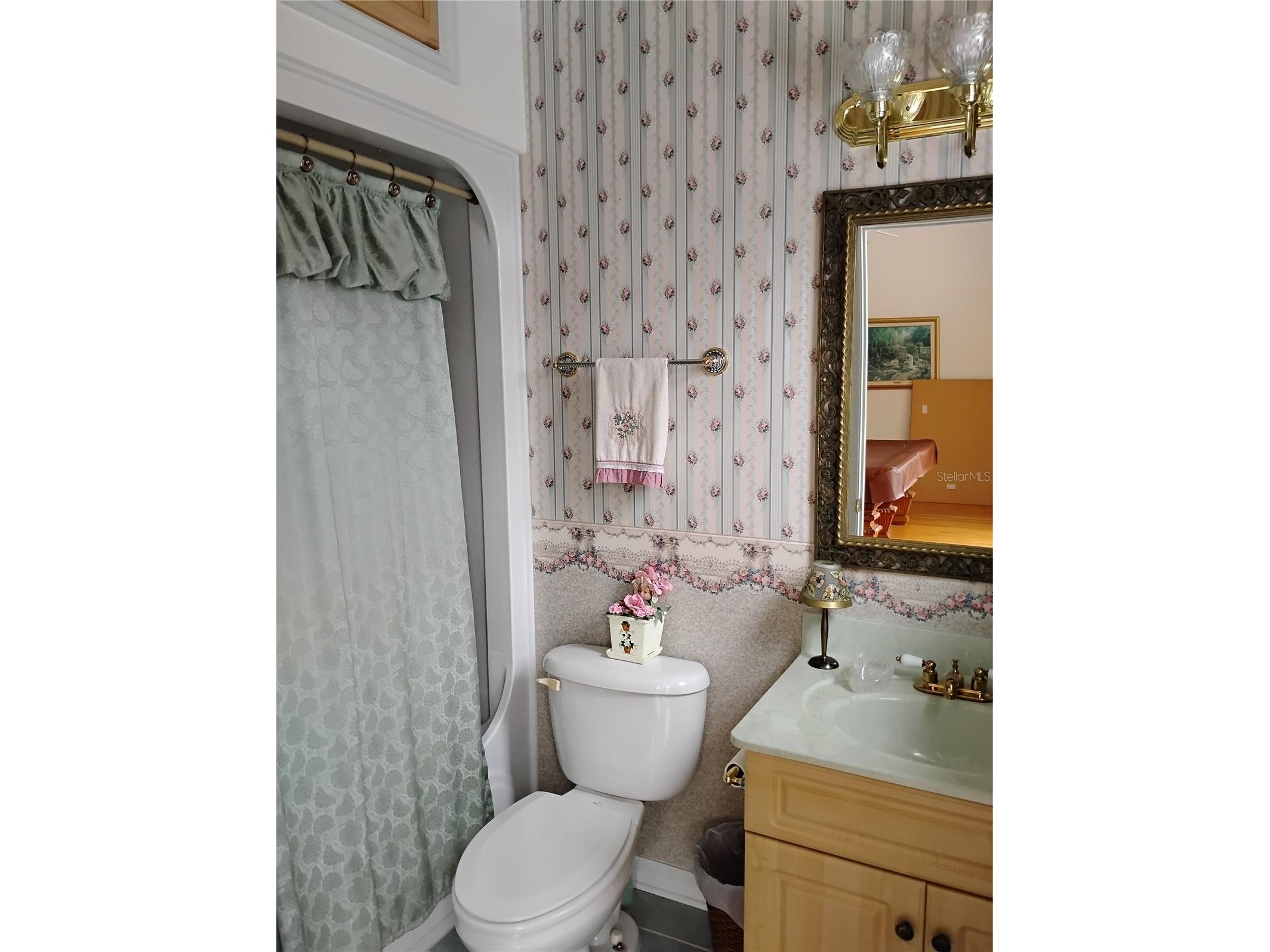 8943 Silver Lake Drive Leesburg FL 34788 - Silver Lake TB8481421 image5