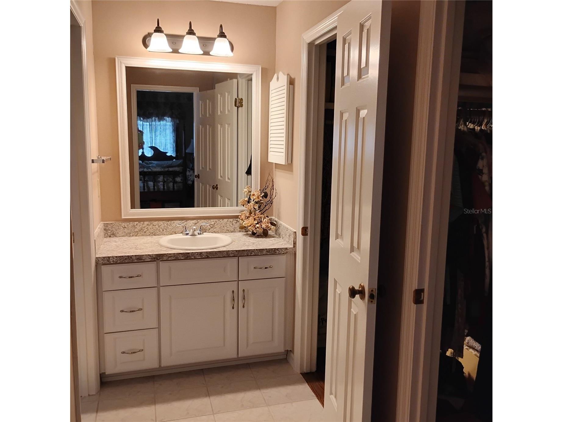 8943 Silver Lake Drive Leesburg FL 34788 - Silver Lake TB8481421 image7