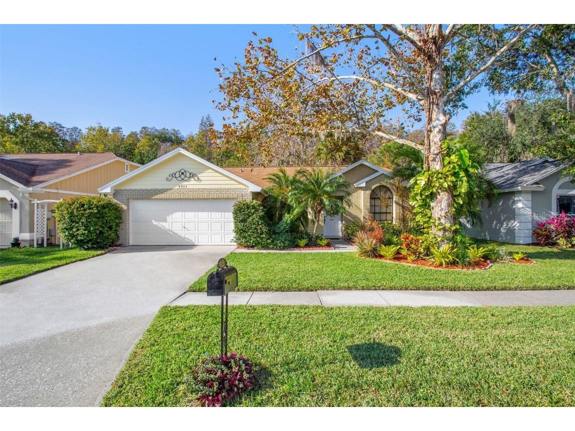 8944 Bayaud Drive Tampa FL 33626 U8191211 image1