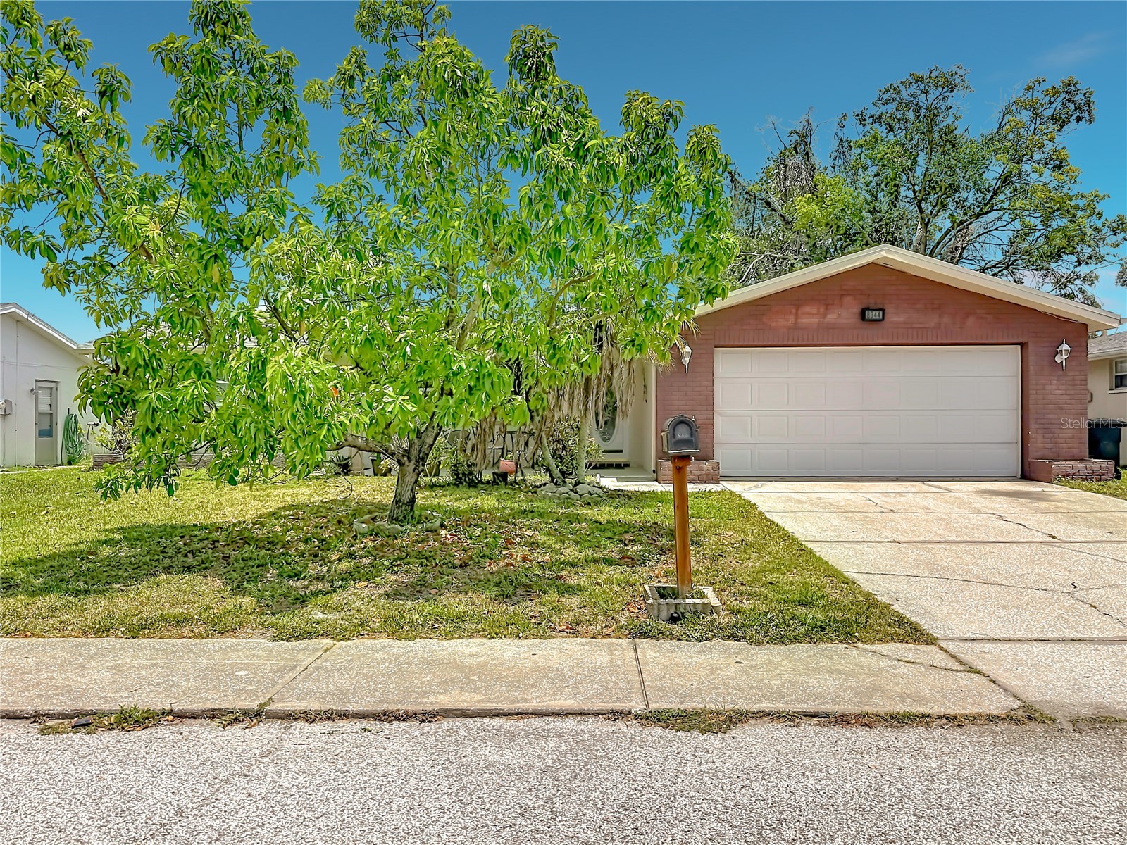 8944 Ledgestone Lane Port Richey FL 34668 TB8521915 image4