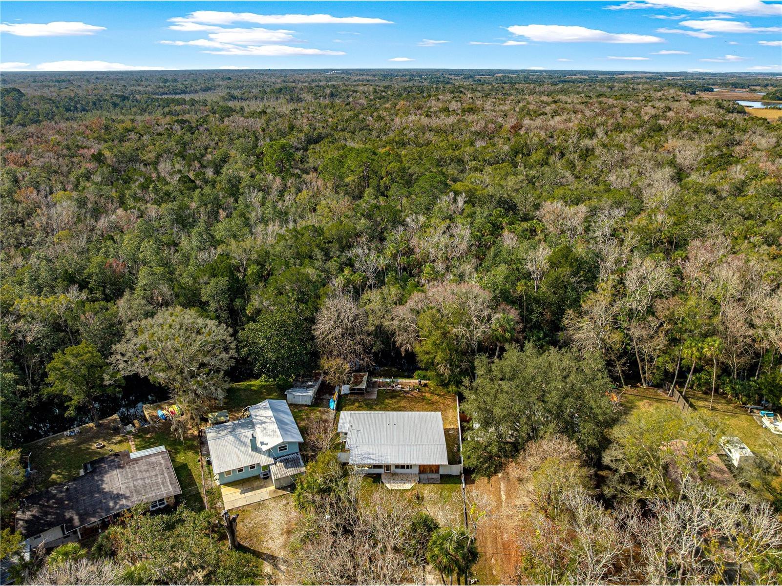 8944 W White Dogwood Drive Homosassa FL 34448 OM716345 image5