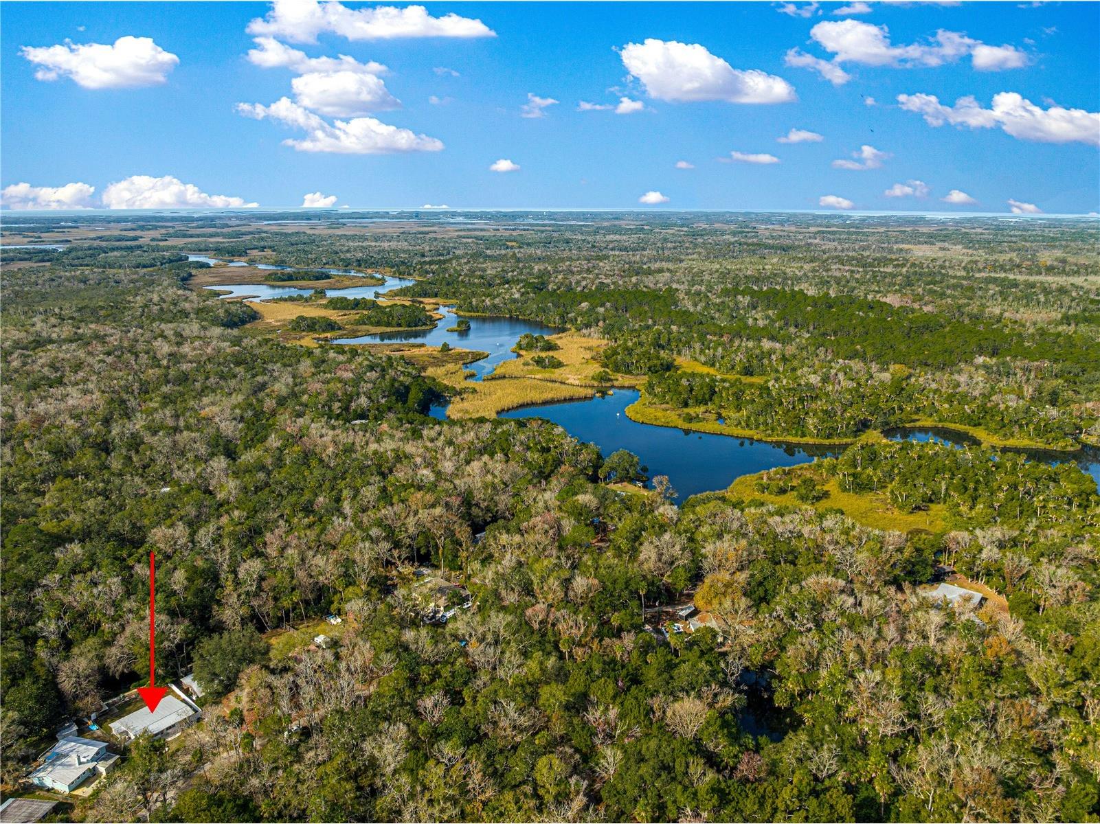 8944 W White Dogwood Drive Homosassa FL 34448 OM716345 image6