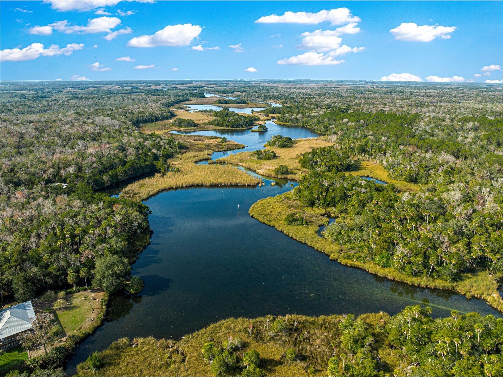 8944 W White Dogwood Drive Homosassa FL 34448 OM716345 image7