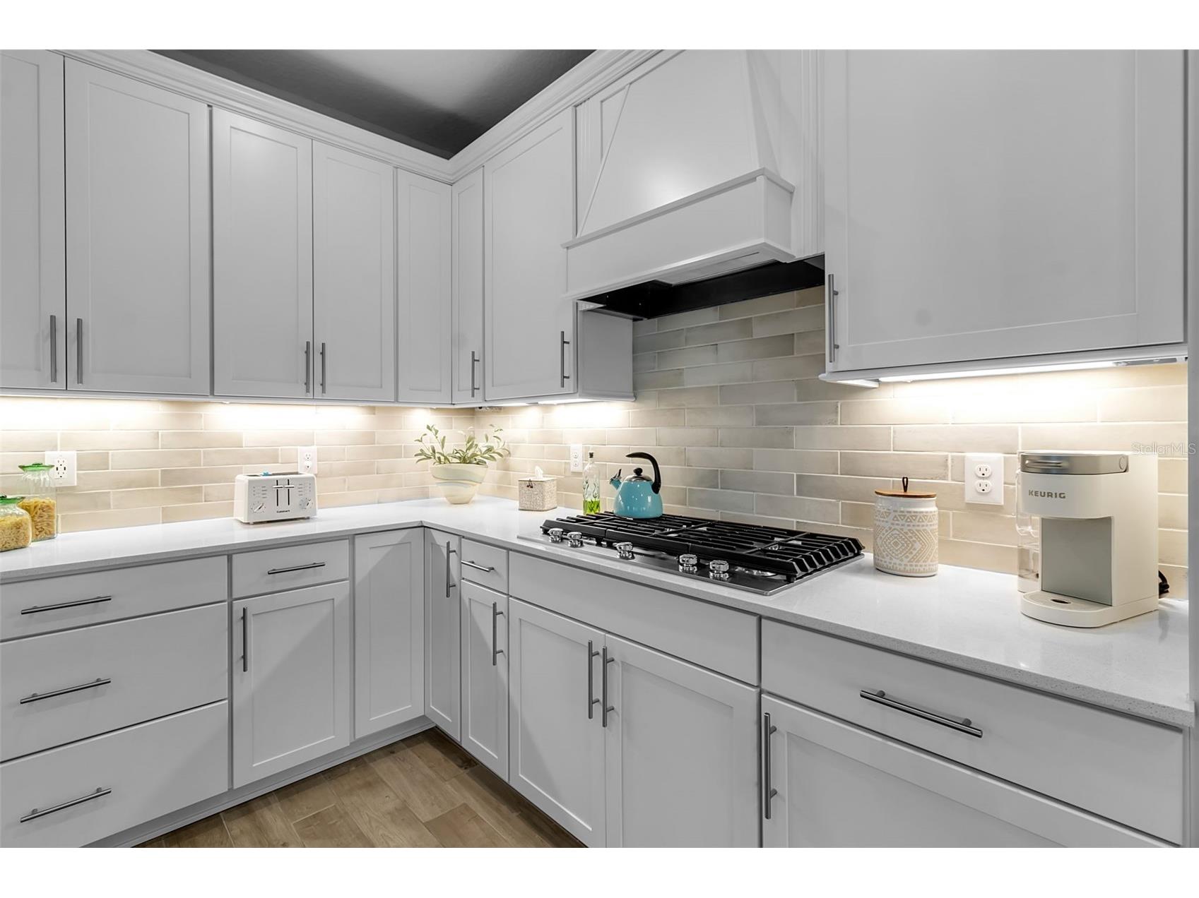 8945 Coastal Key Way Parrish FL 34219 A4693206 image19