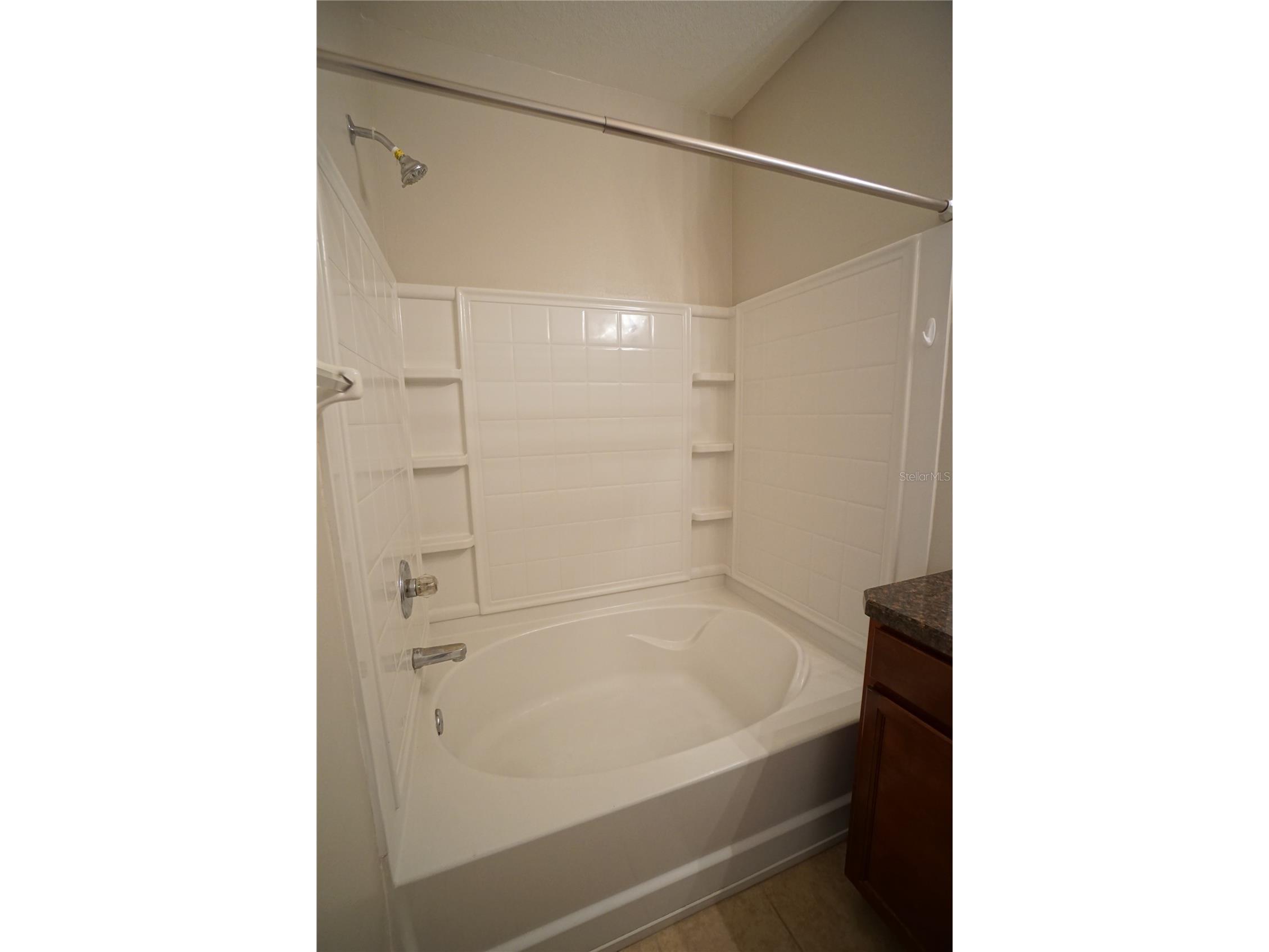 8945 Moonlit Meadows Loop Riverview FL 33578 TB8483804 image22