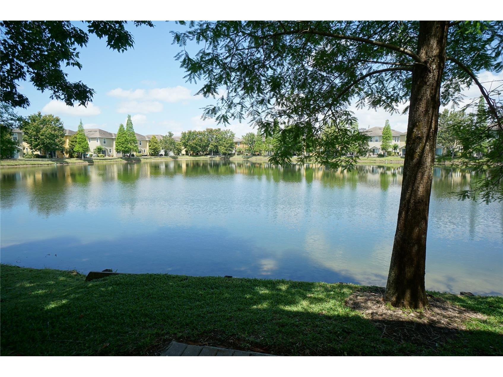 8945 Moonlit Meadows Loop Riverview FL 33578 TB8483804 image3