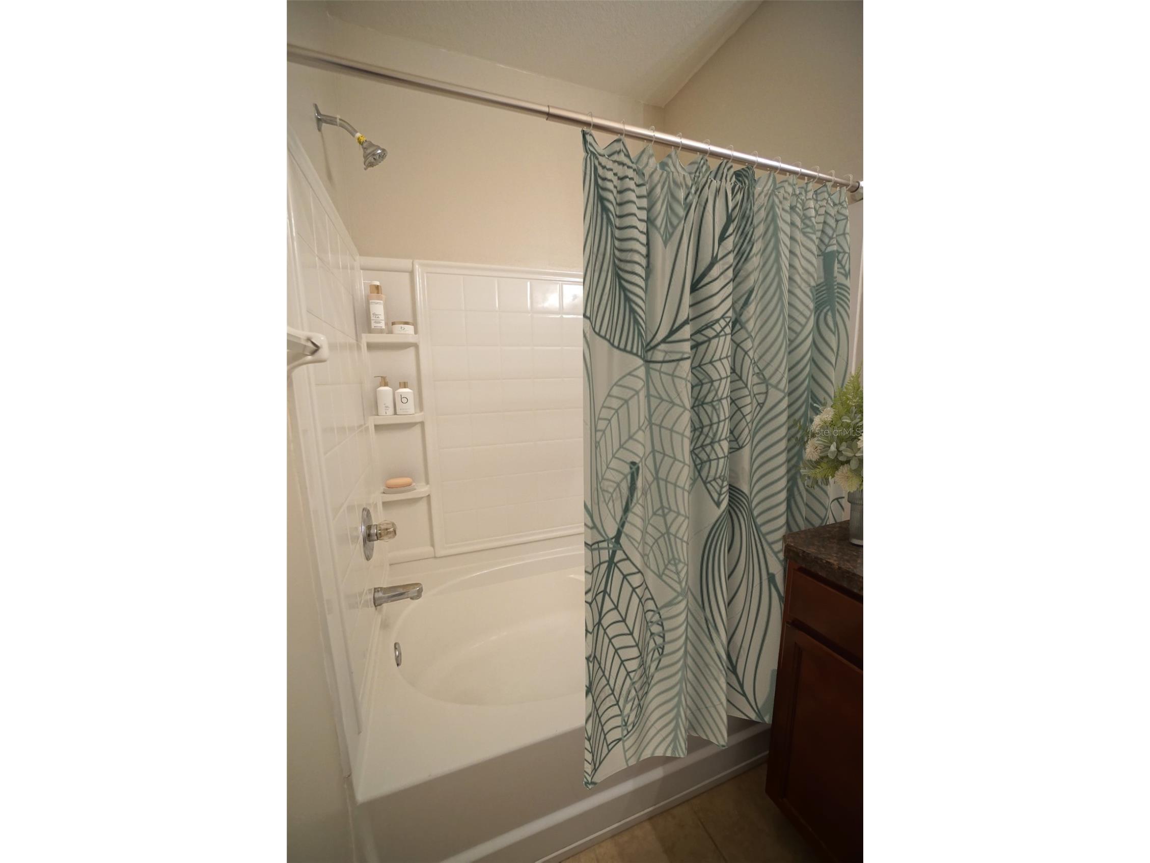8945 Moonlit Meadows Loop Riverview FL 33578 TB8483804 image9