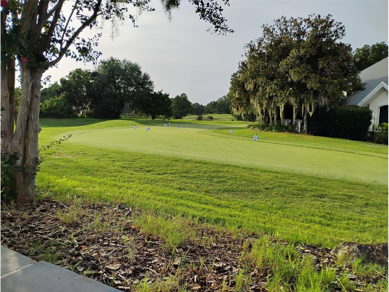8947 SW 108th Place Ocala FL 34481 OM724274 image24