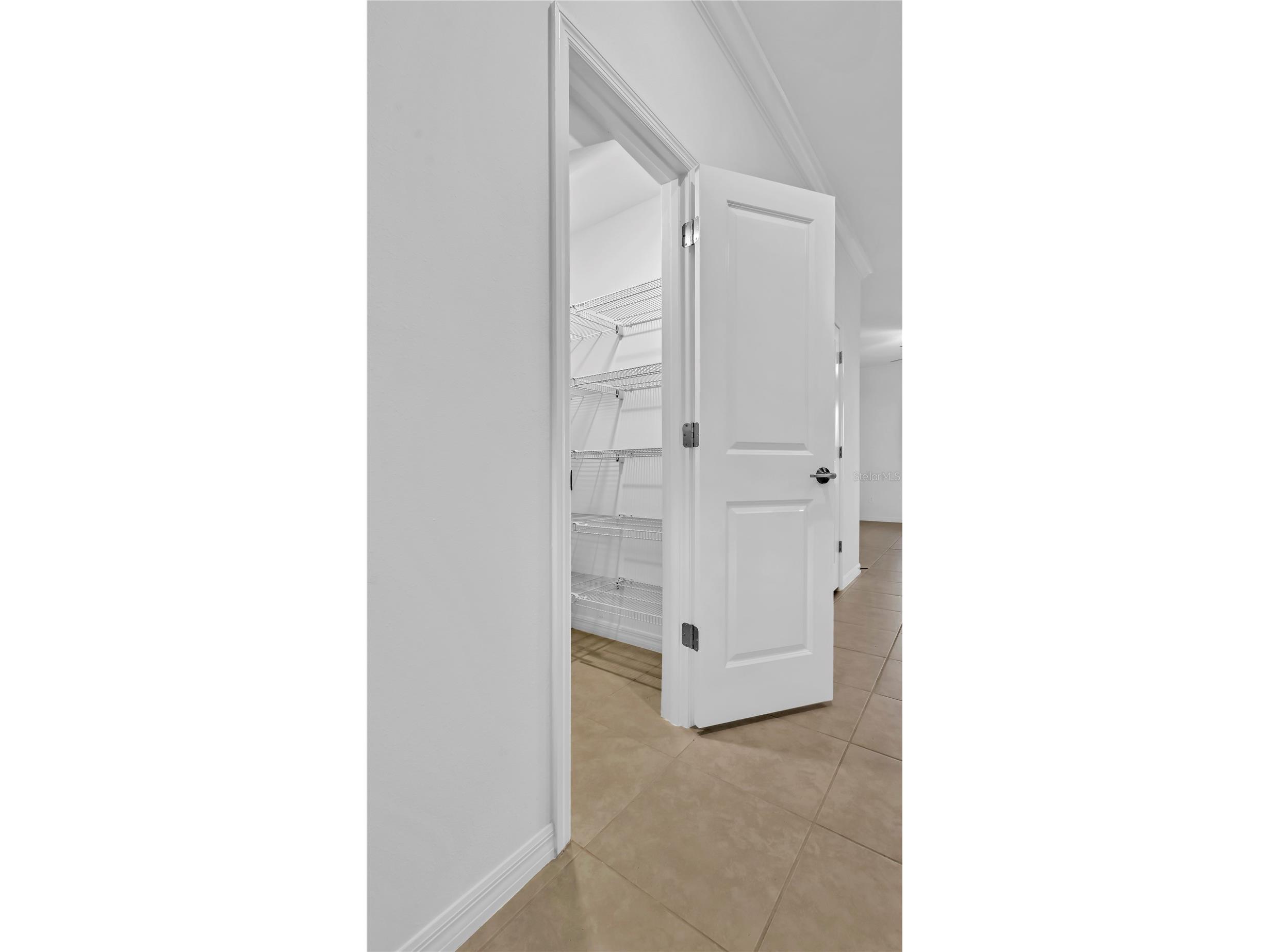 8948 Gallantree Place Land O Lakes FL 34637 TB8512497 image21