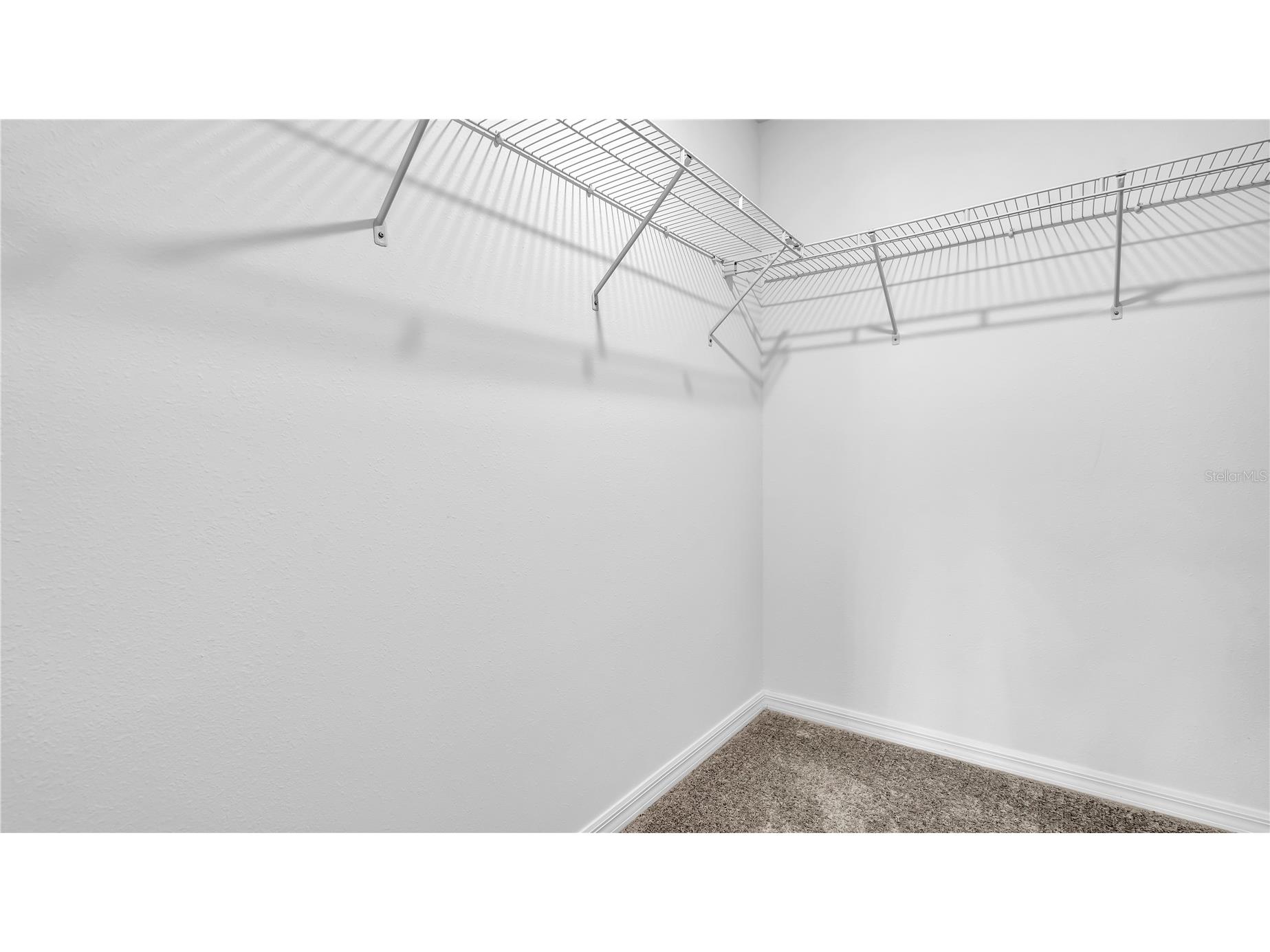 8948 Gallantree Place Land O Lakes FL 34637 TB8512497 image33