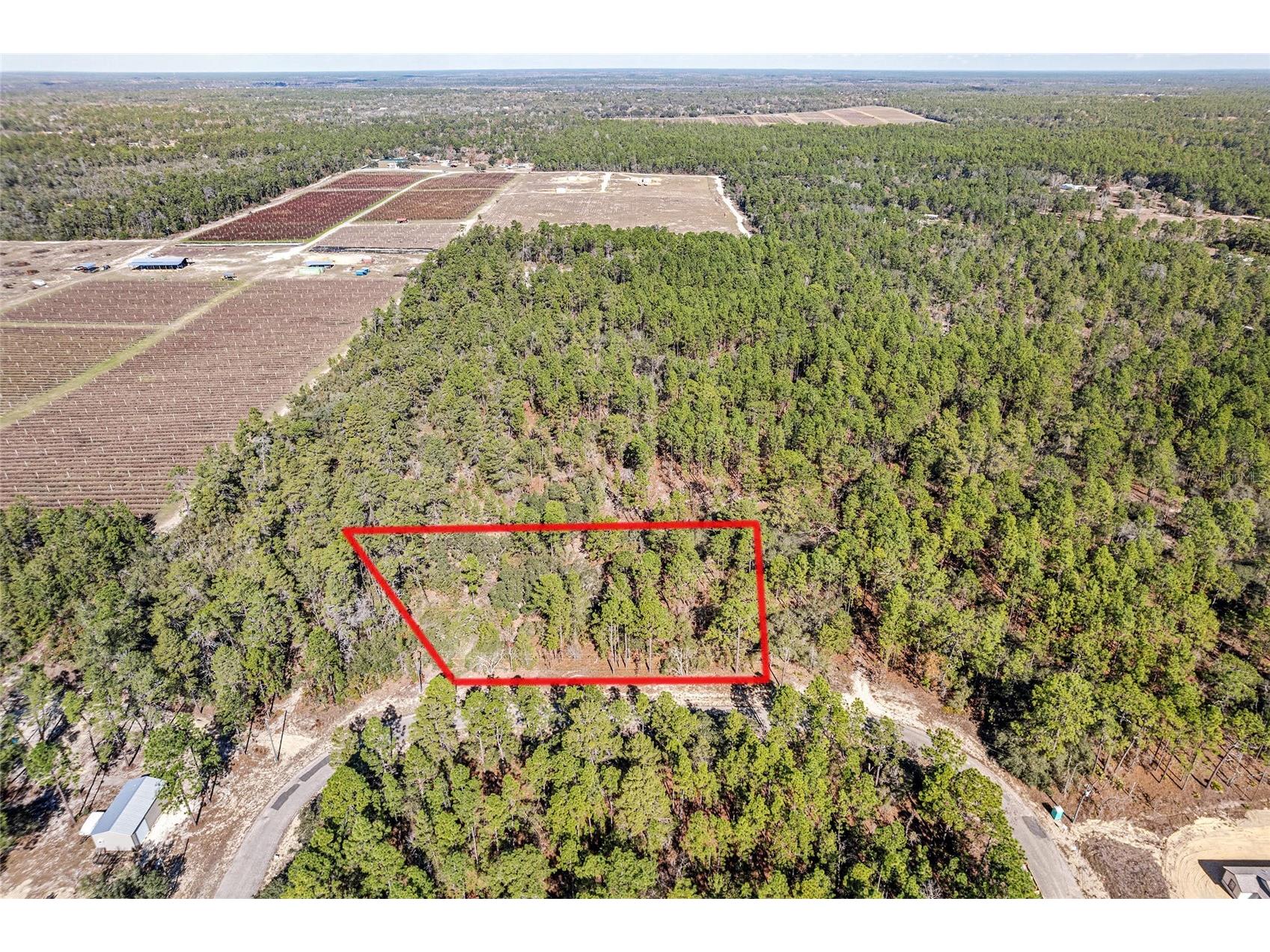 8949 N Farrington Drive Citrus Springs FL 34433 G5106546 image1