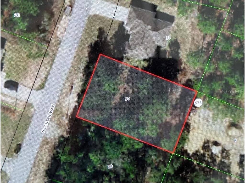 8949 N Lansen Way Citrus Springs FL 34433 OM696689 image5