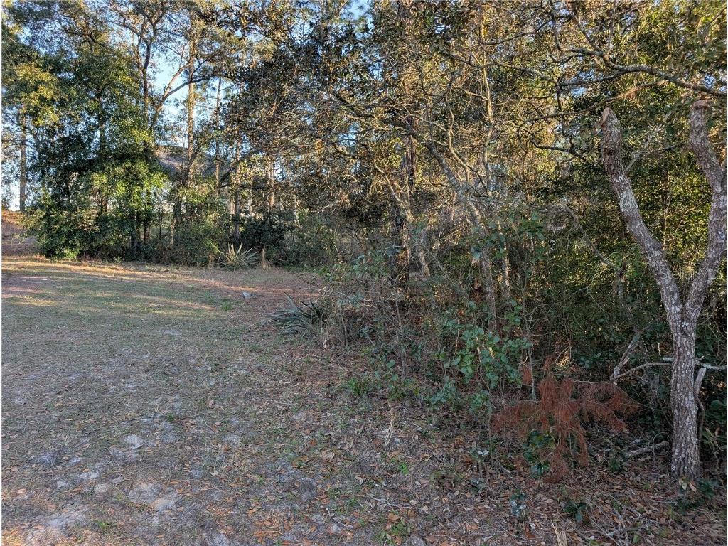 8949 N Lansen Way Citrus Springs FL 34433 OM696689 image6