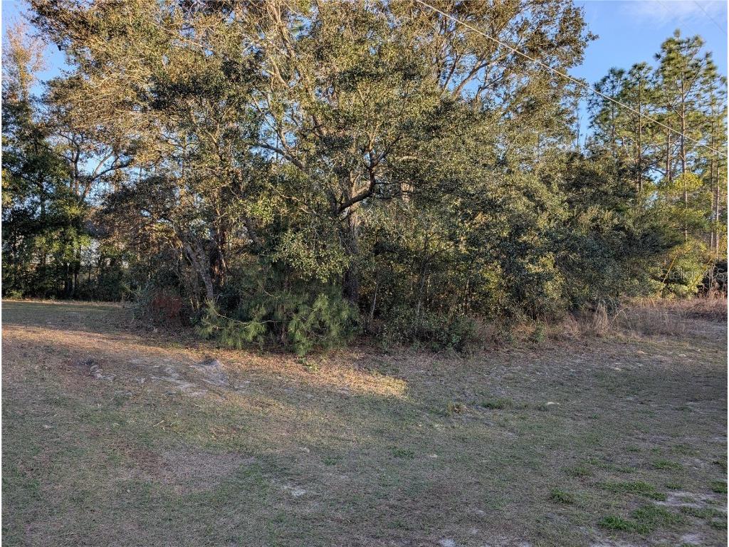 8949 N Lansen Way Citrus Springs FL 34433 OM696689 image7