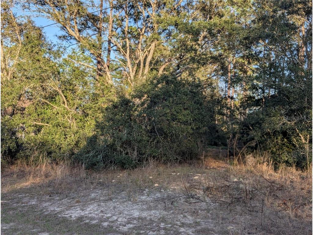 8949 N Lansen Way Citrus Springs FL 34433 OM696689 image8