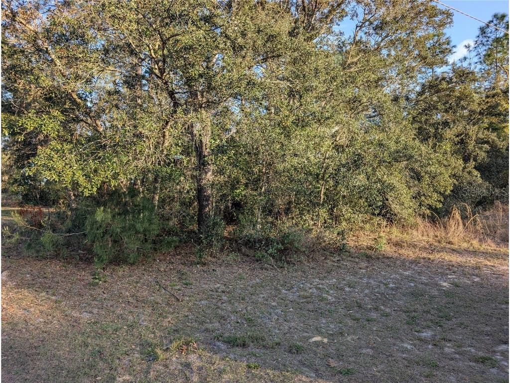 8949 N Lansen Way Citrus Springs FL 34433 OM696689 image9