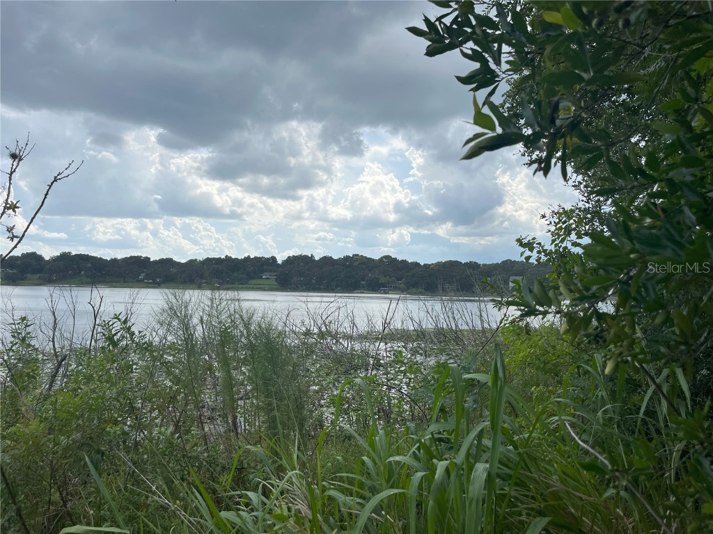 895 Marietta Lane Eustis FL 32726 - LAKE NETTIE O6232156 image1