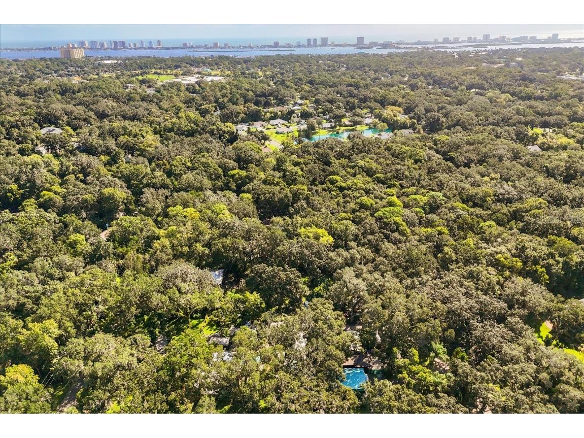 895 Nixon Lane Port Orange FL 32129 S5134496 image5