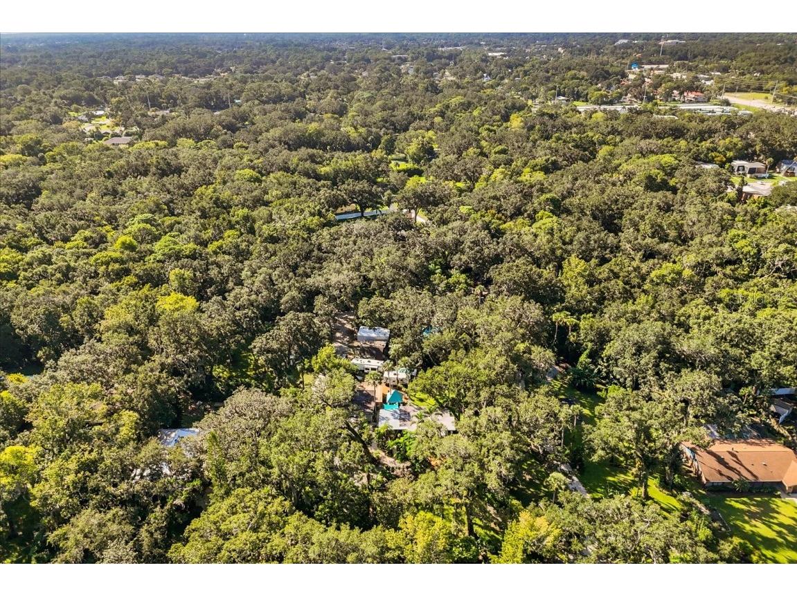 895 Nixon Lane Port Orange FL 32129 S5134496 image6