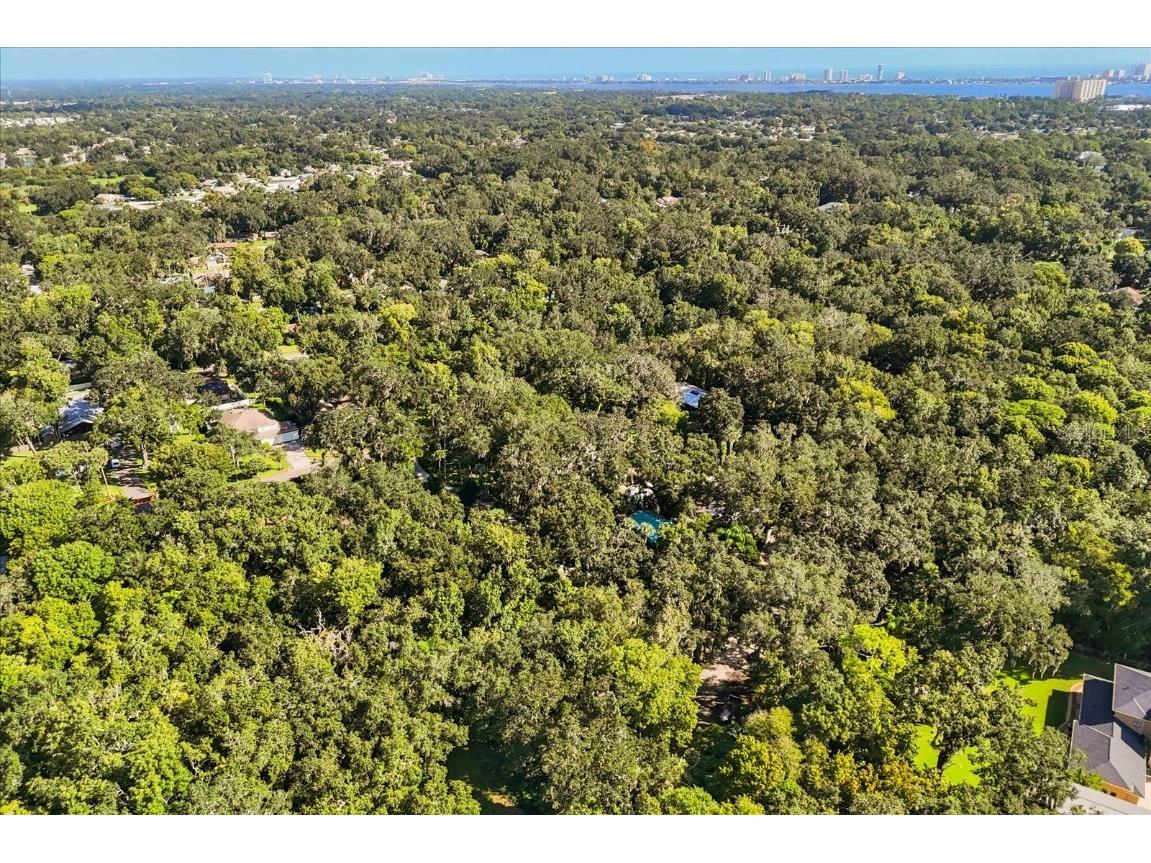 895 Nixon Lane Port Orange FL 32129 S5134496 image7