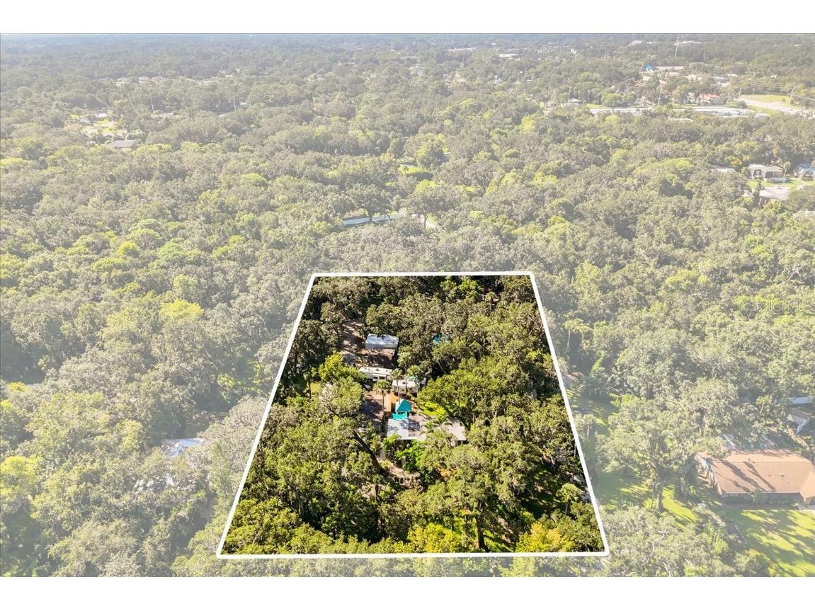 895 Nixon Lane Port Orange FL 32129 S5134496 image9