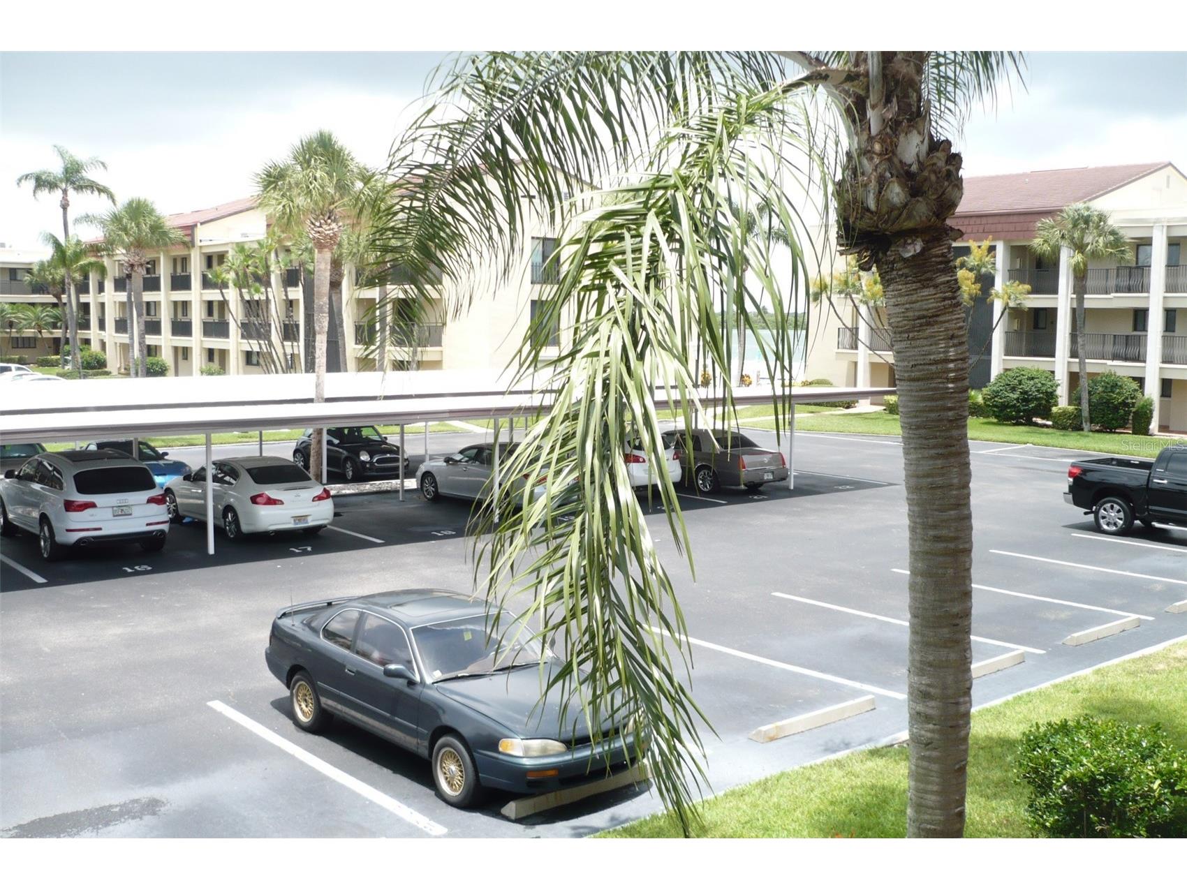 895 S Gulfview Boulevard #202 Clearwater FL 33767 U8211312 image31